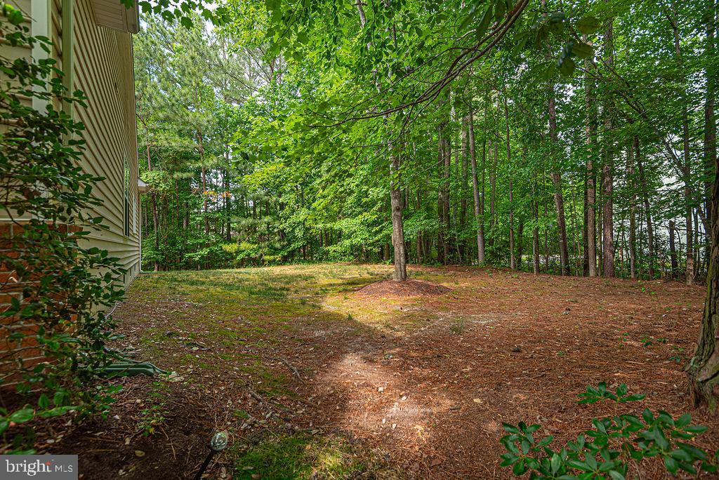 OCEAN PINES - THE PARKE - Residential