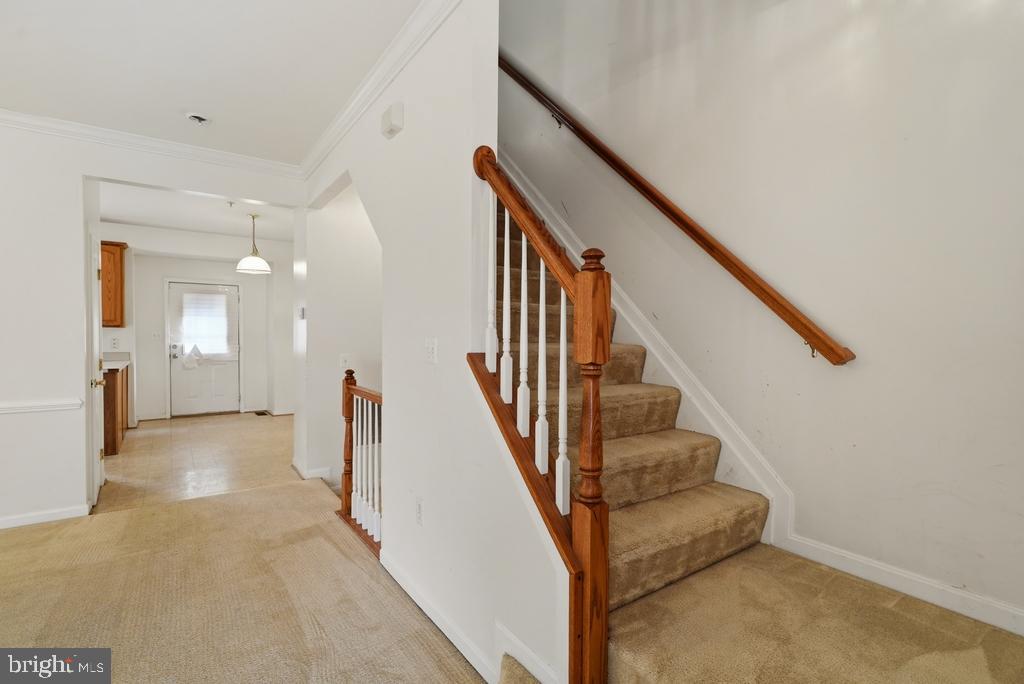 MCKENDREE - Residential