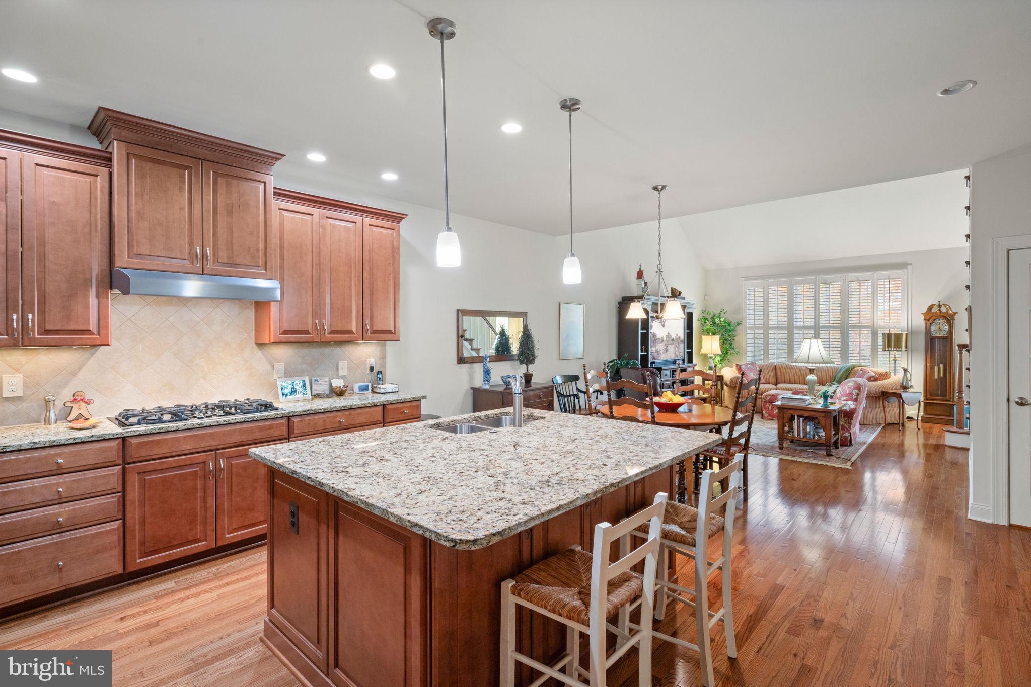 REGENCY AT ASHBURN - Residential