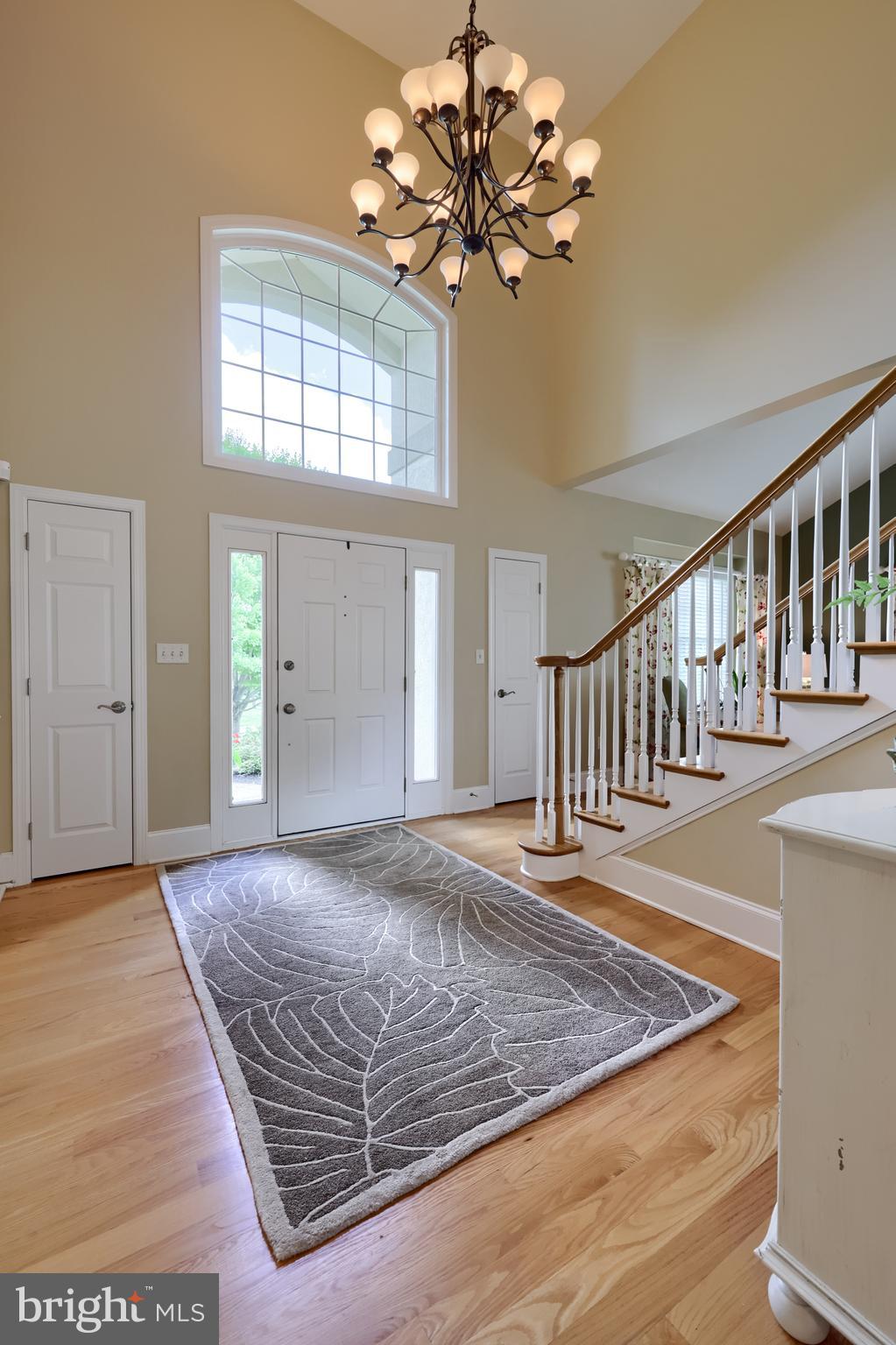 THE MEADOWS - Residential