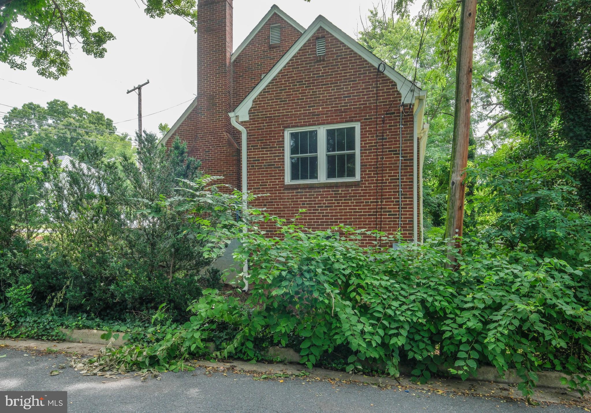 GEORGENE WILLIAMS - Residential