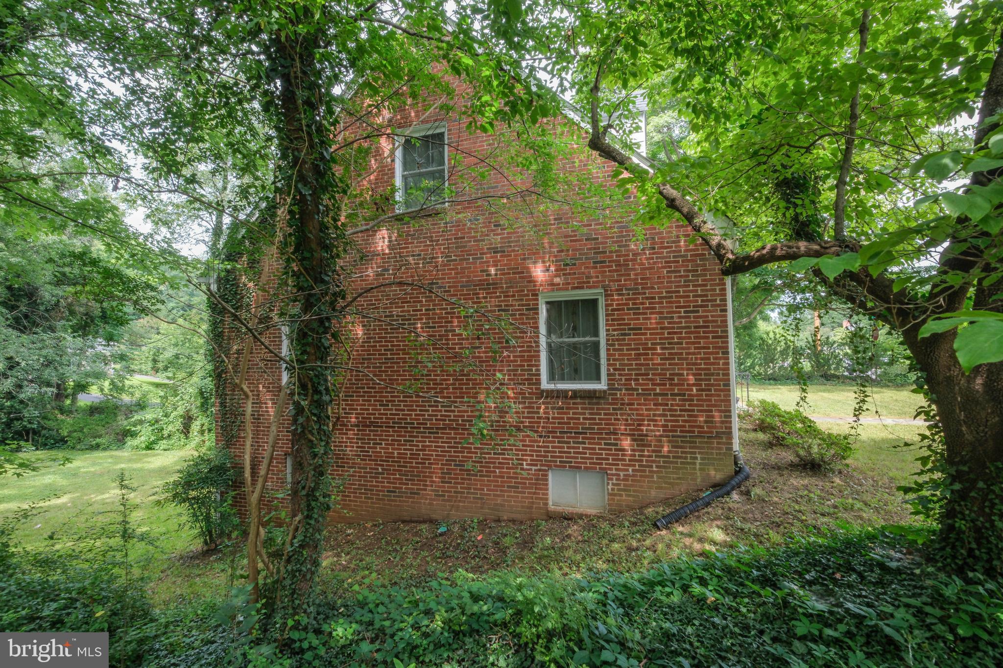 GEORGENE WILLIAMS - Residential