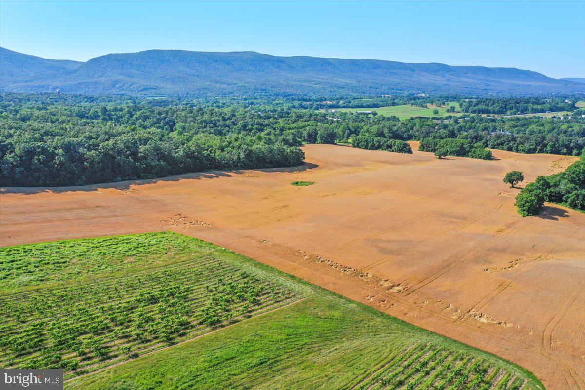 Development Potential! Two parcels being sold together totaling 92 acres zoned R-2. Beautiful Mountain views and a blank canvas to bring your building plans to life. Accessed through 4- 50 ft Right of Ways, one off Barbershop road and 3 off Ox Road. Currently, a small portion of the property is planted with grape vines for Wine (this year's harvest does not convey) and majority is farmed with crops (this year's harvest does not convey). Potential to add on to Aqua water. Must be shown with a licensed realtor. Agent Related.