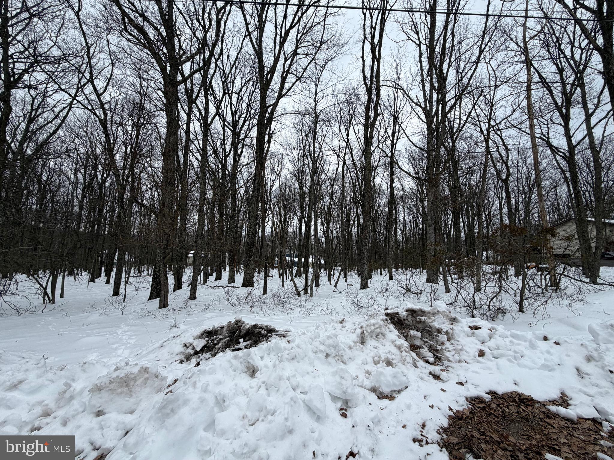 COVE VILLAGE - Land