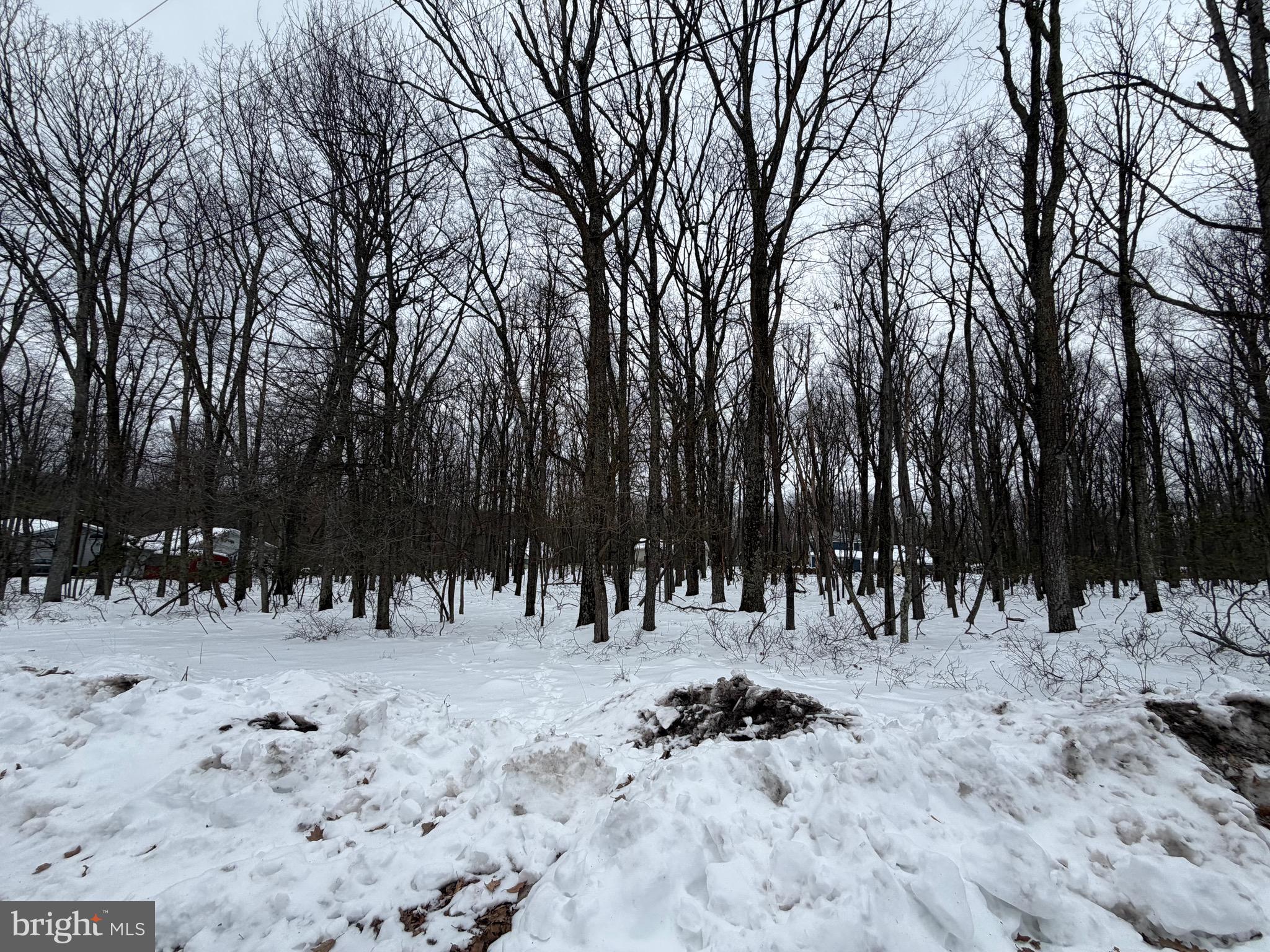 COVE VILLAGE - Land