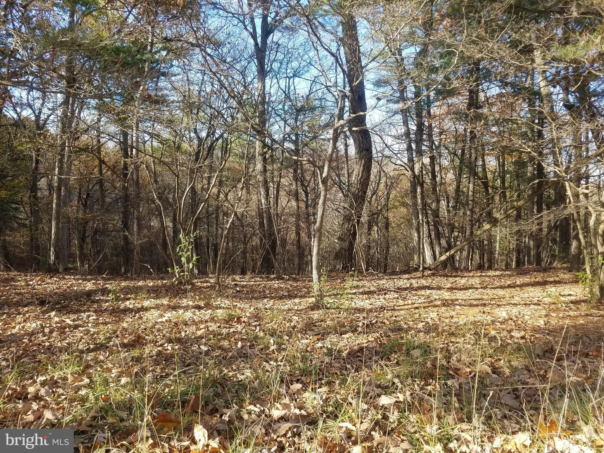 CRYSTAL VALLEY ESTATES - Land