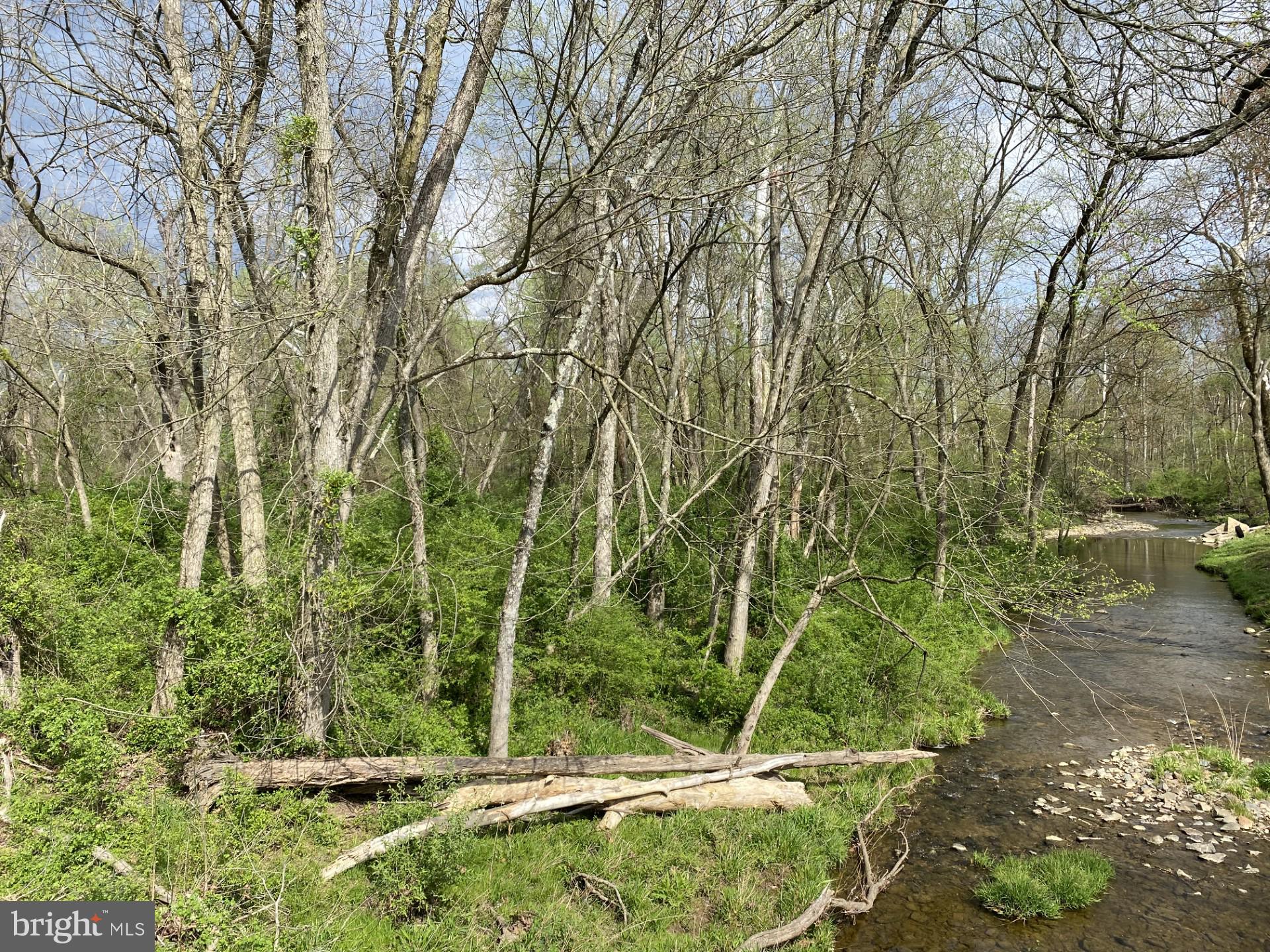 1.68 Acres Zoned Residential land.  Located on Paradise Rd, across from Cronin Dr intersection.  Refer to Floodplain map in documents for information.