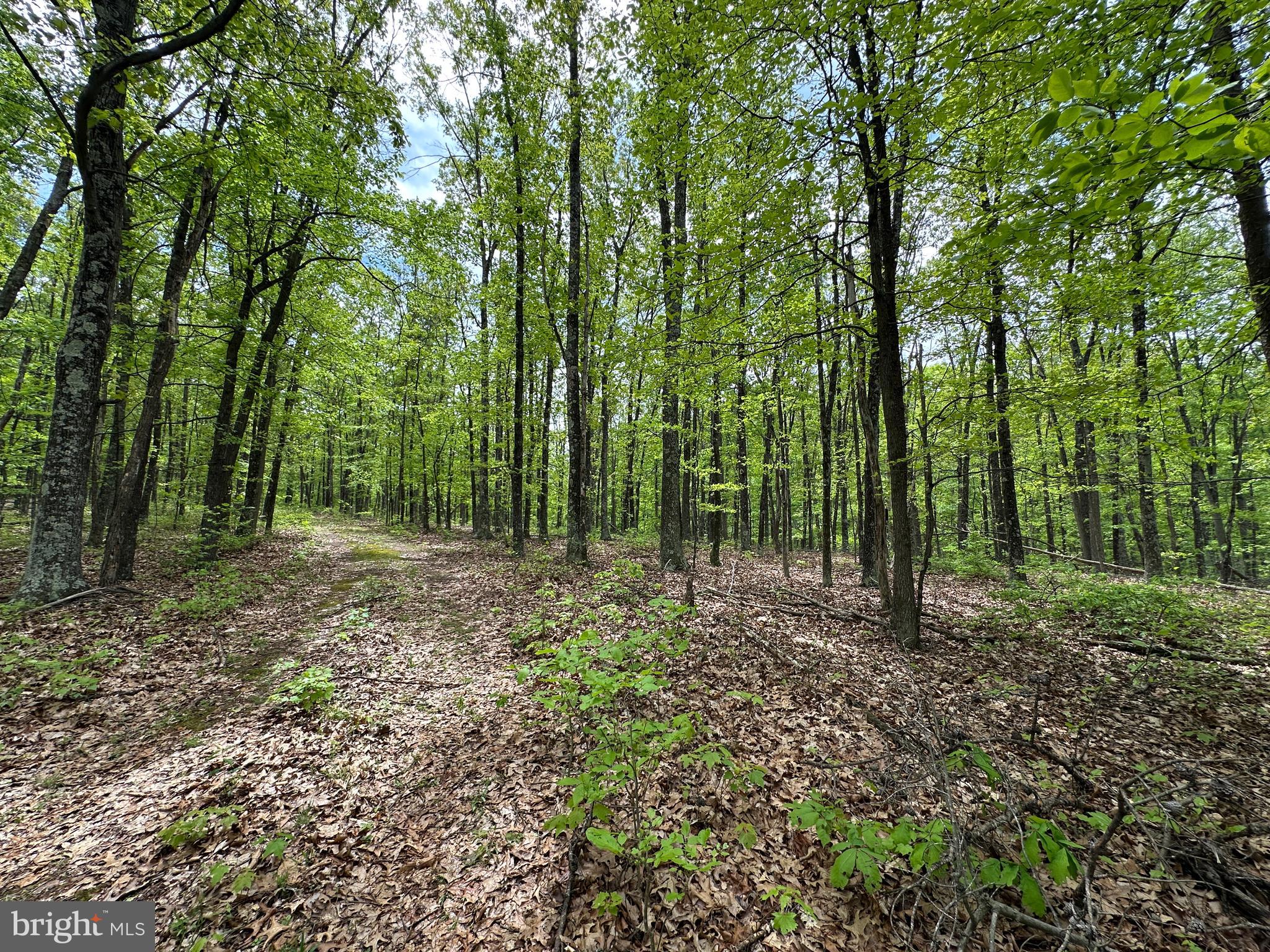 TIMBER TRAILS - Land