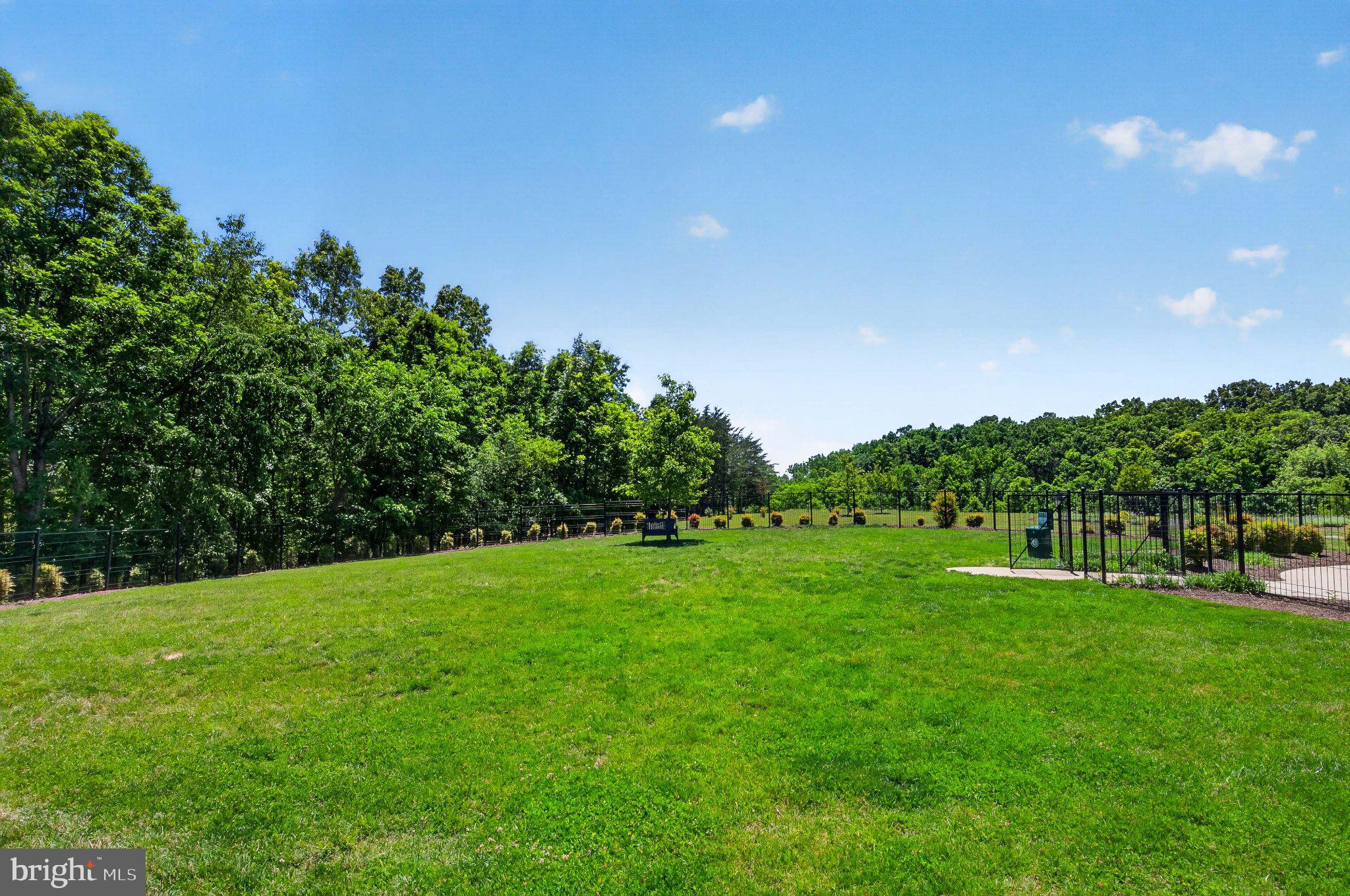 SHENANDOAH - Residential