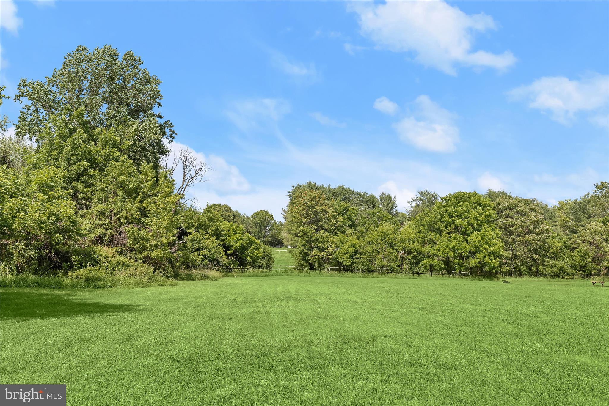 BENSON BRANCH OVERLOOK - Land
