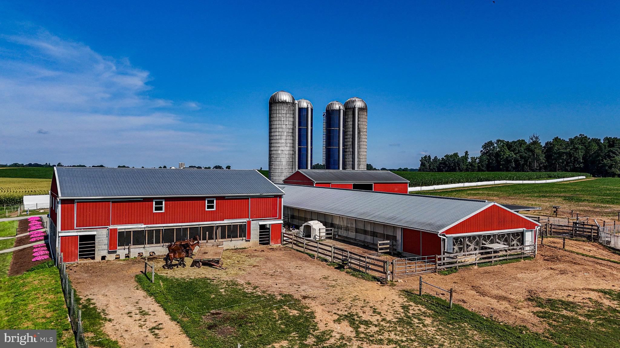 NONE AVAILABLE - Farm
