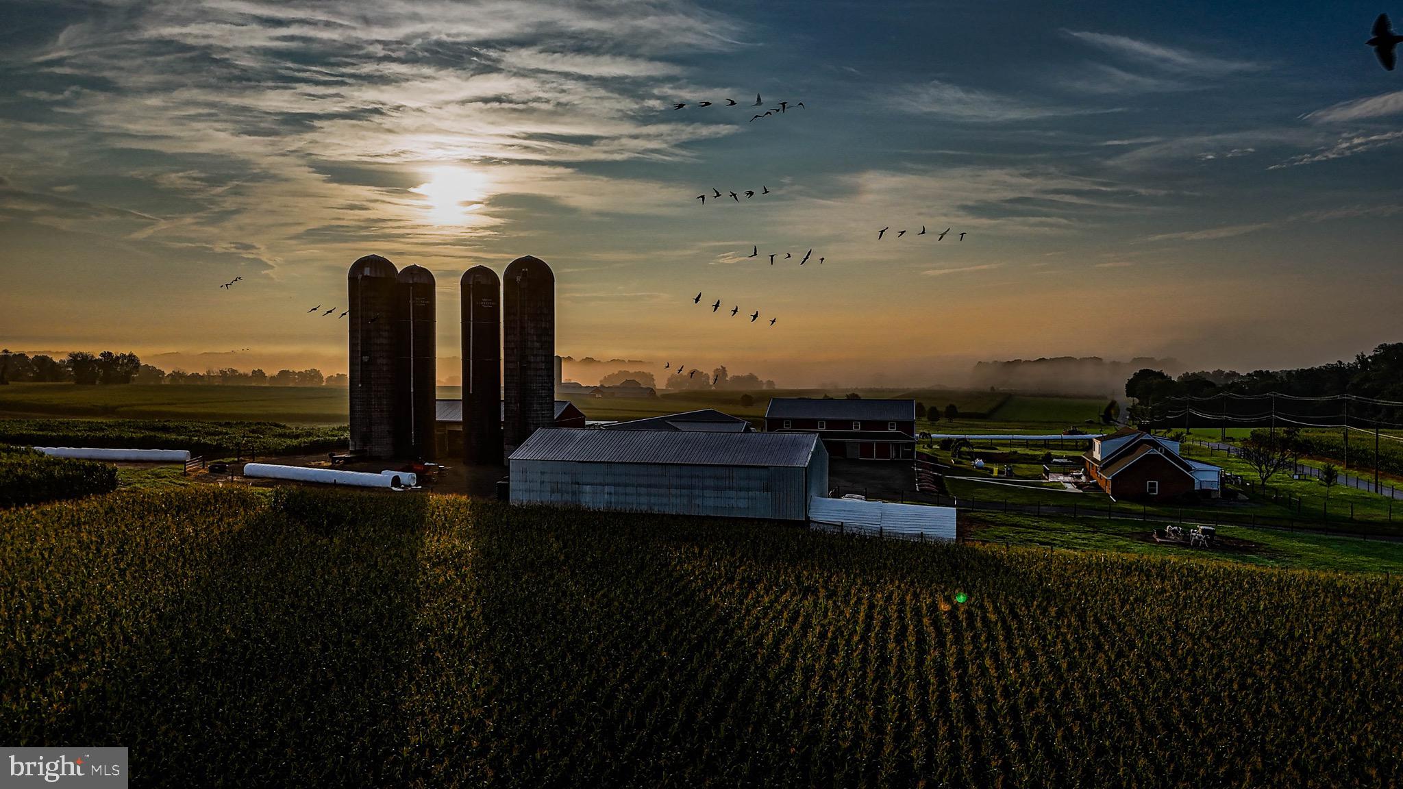 NONE AVAILABLE - Farm