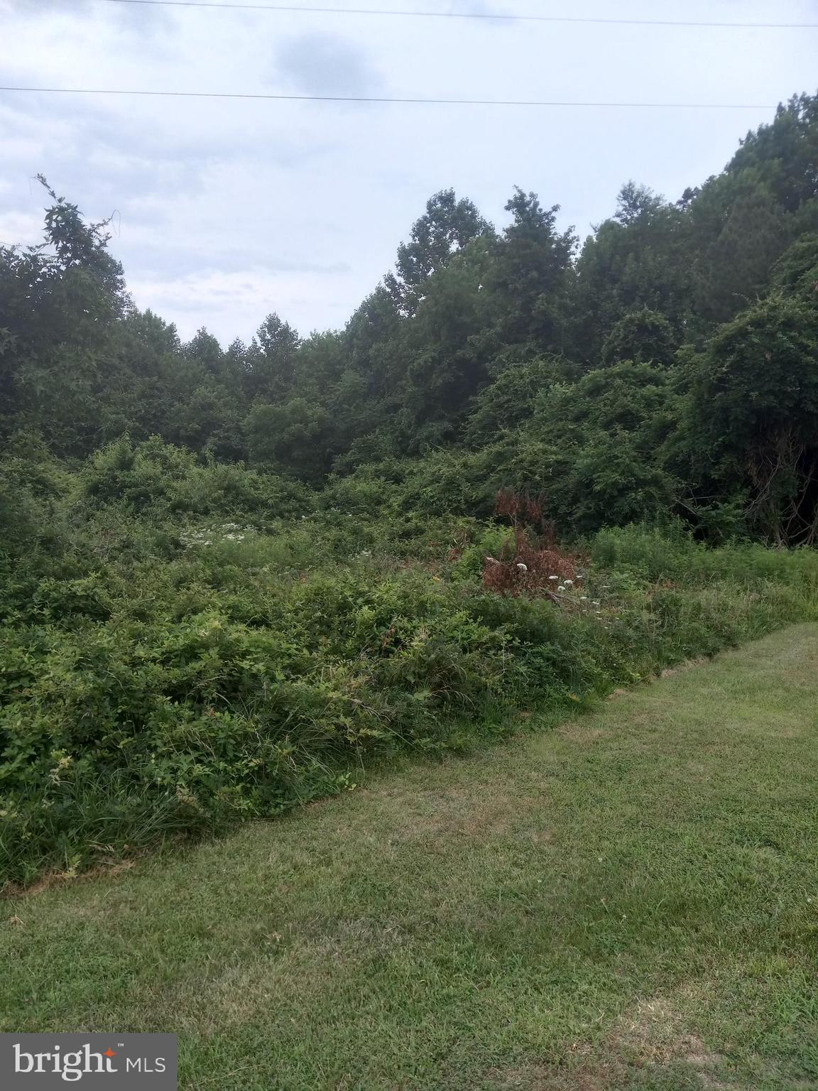 5.38 acres of raw wooded land directly behind Lot 3 of the Lewis Estates Lane subdivision.  Bring your builder with your plans.  It is 1 mile from Spotsylvania High School, 3 miles from Spotsylvania Courthouse and 20 minutes either way from Lake Anna and Fredericksburg's shopping and restaurants.