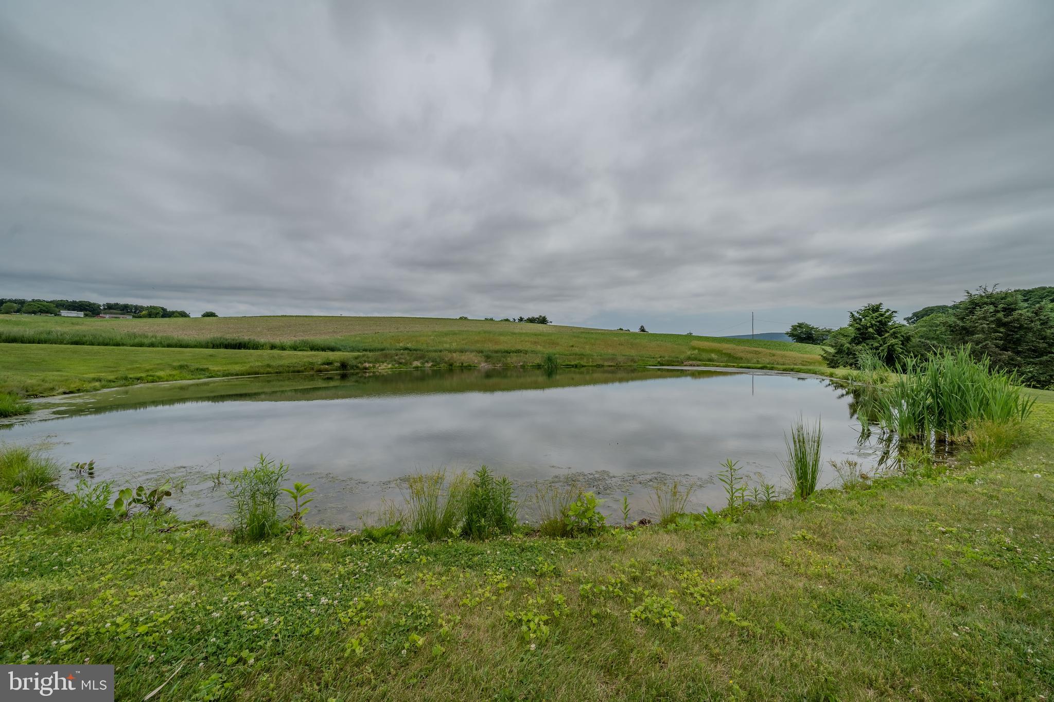PITMAN - Farm