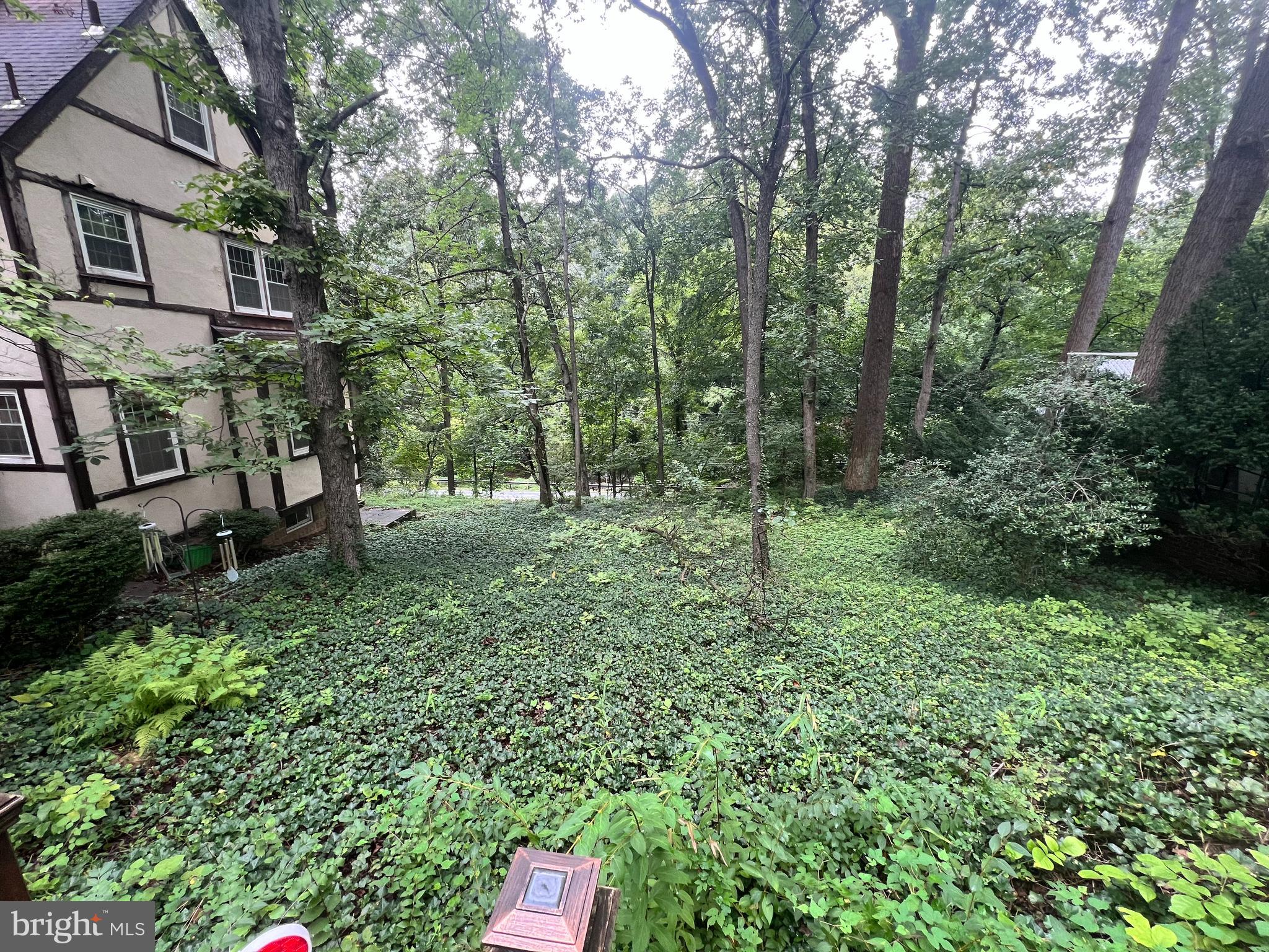 TAKOMA PARK - Residential
