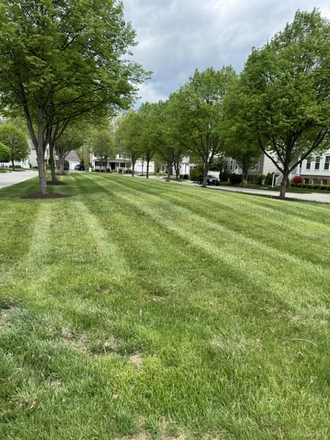 TERRA MARIA - Residential