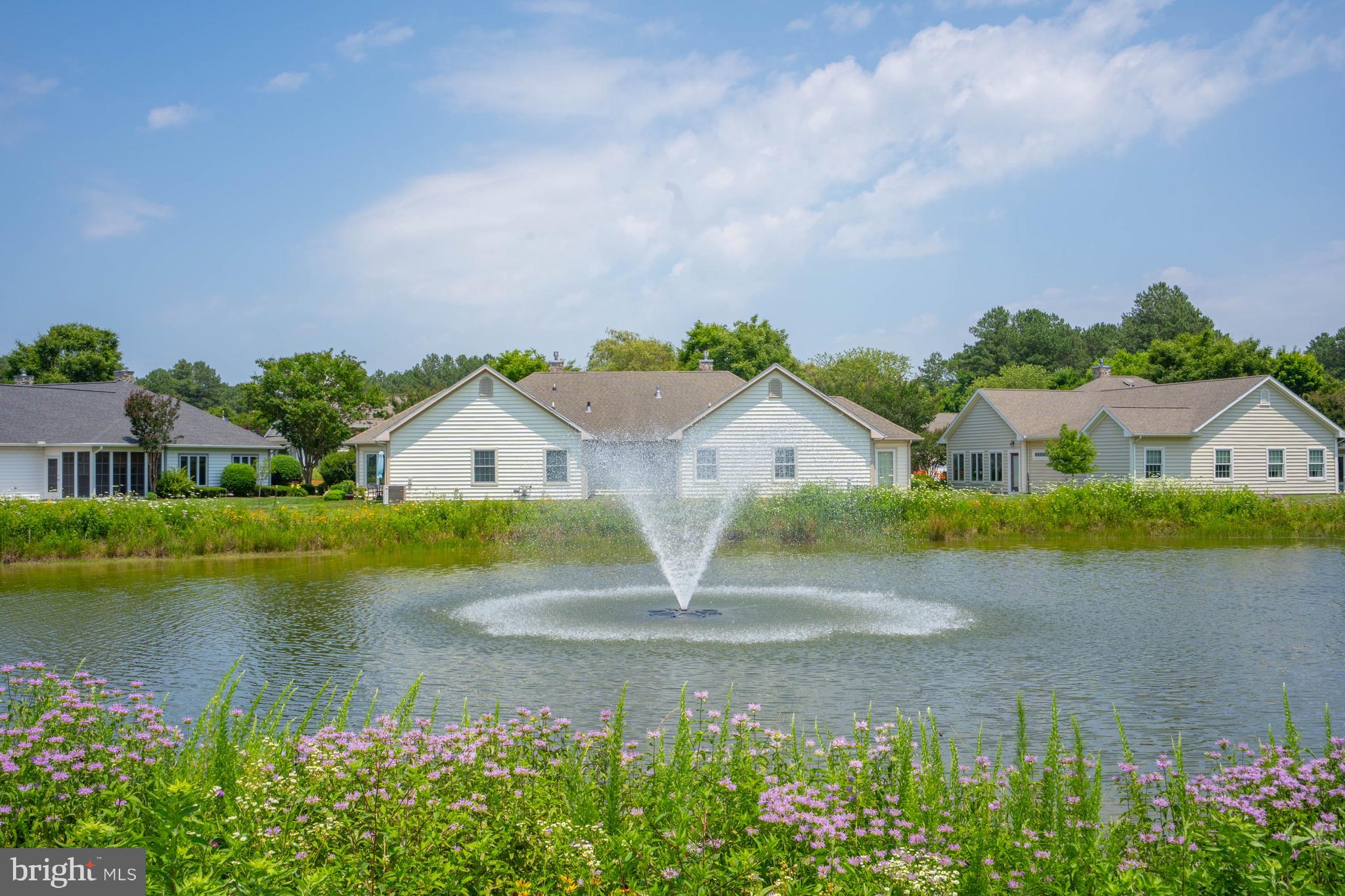 VILLAGE OF CINDERBERRY - Residential