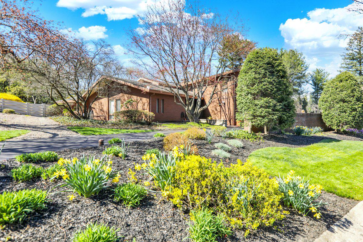 BIRDLAND - Residential