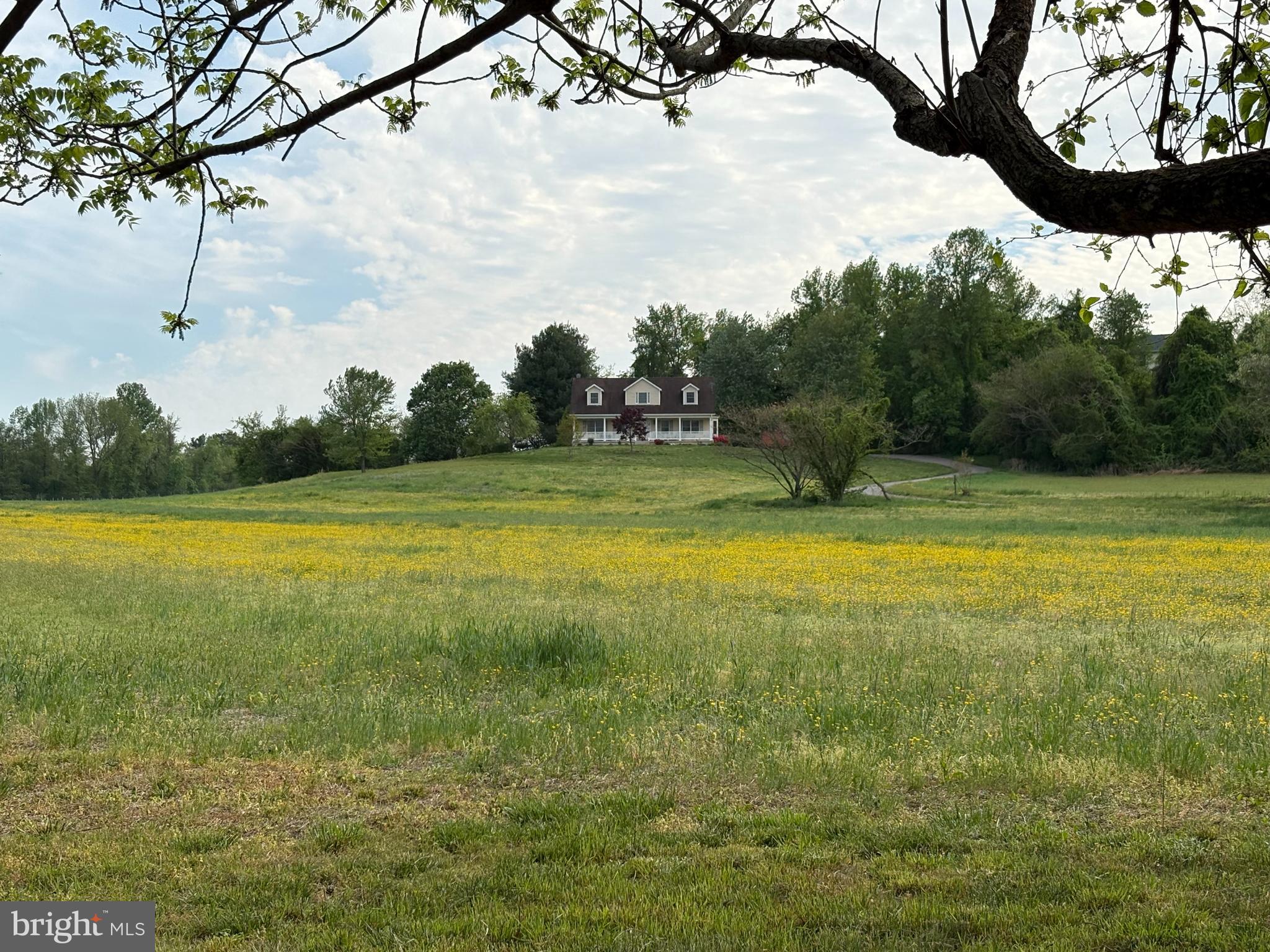 ANCIENT OAK ESTATES - Residential
