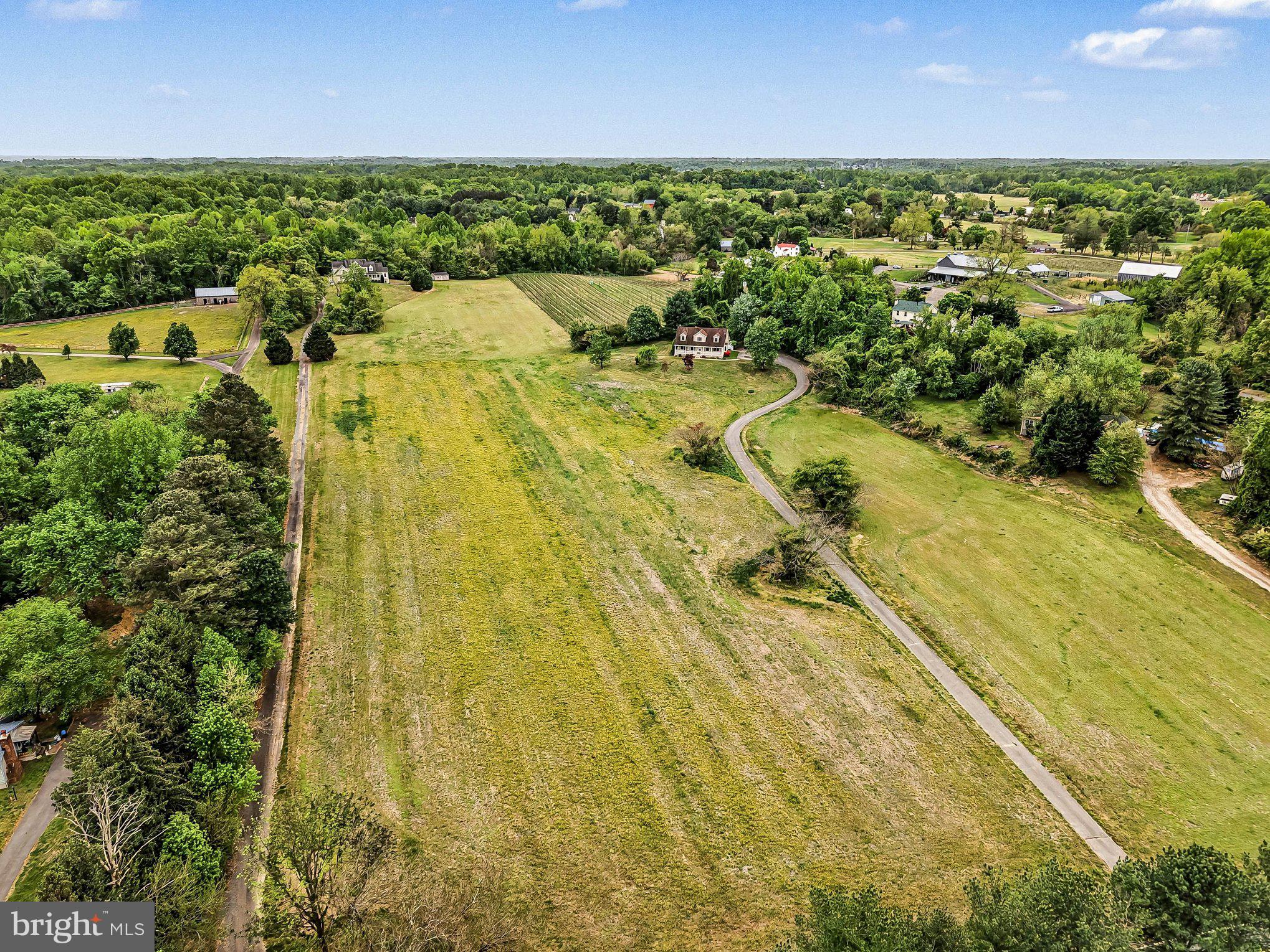 ANCIENT OAK ESTATES - Residential