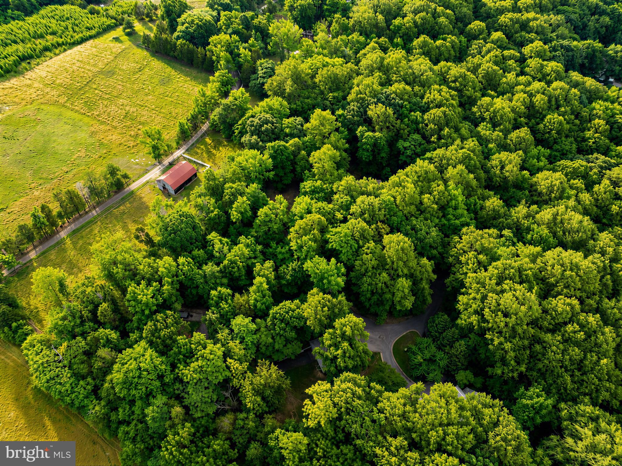 ROLLING HILLS - Residential