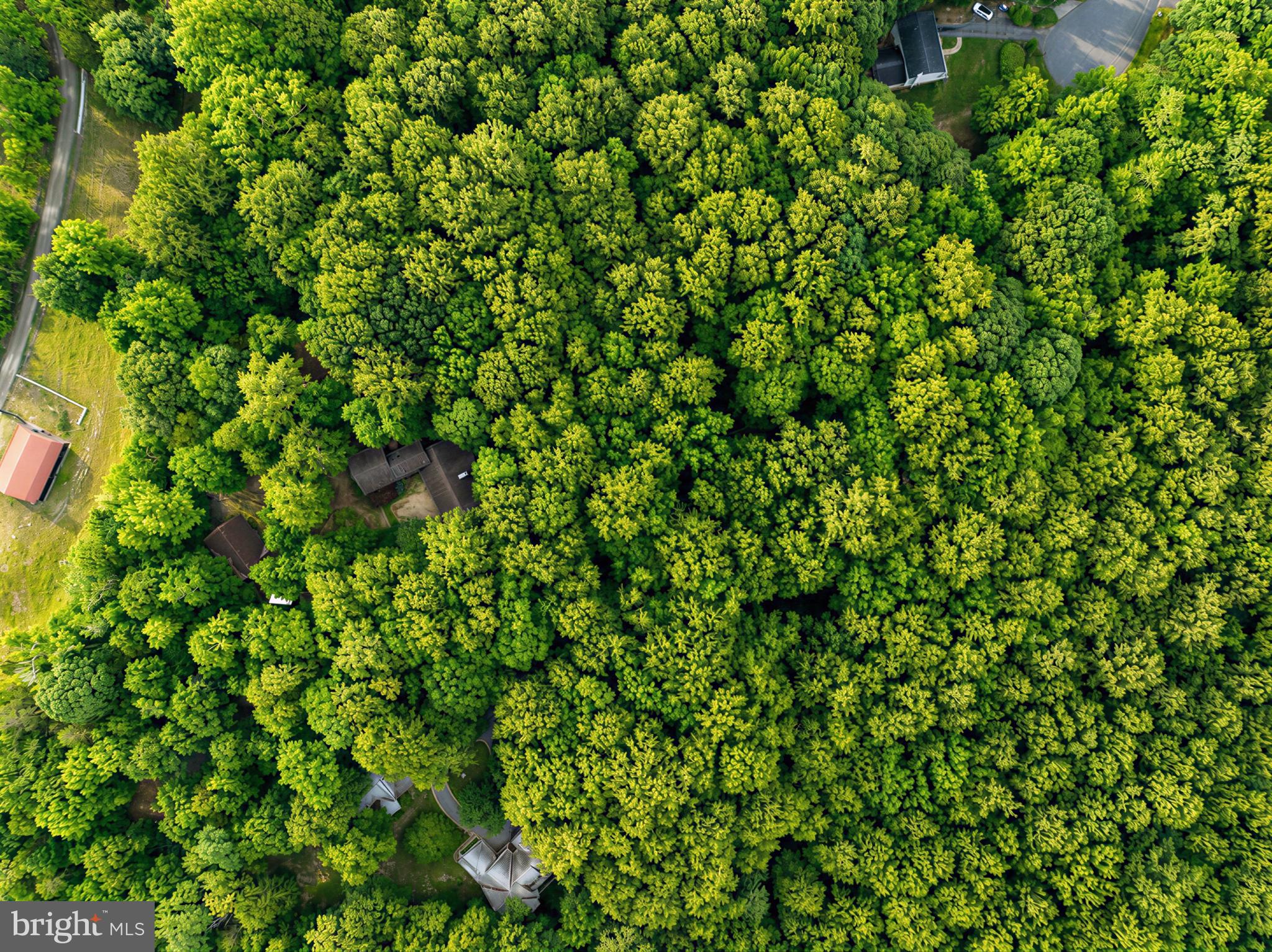 ROLLING HILLS - Residential