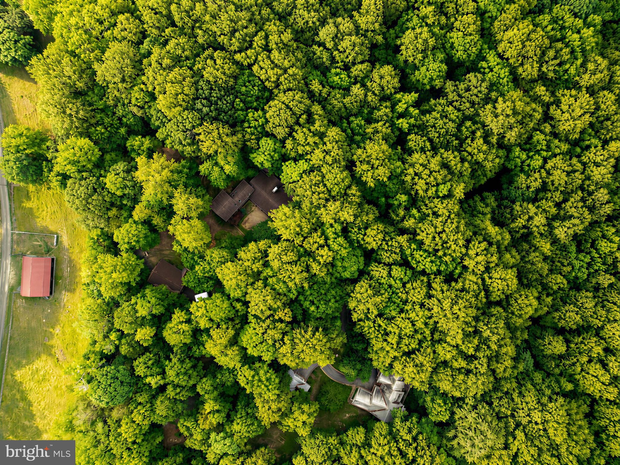 ROLLING HILLS - Residential