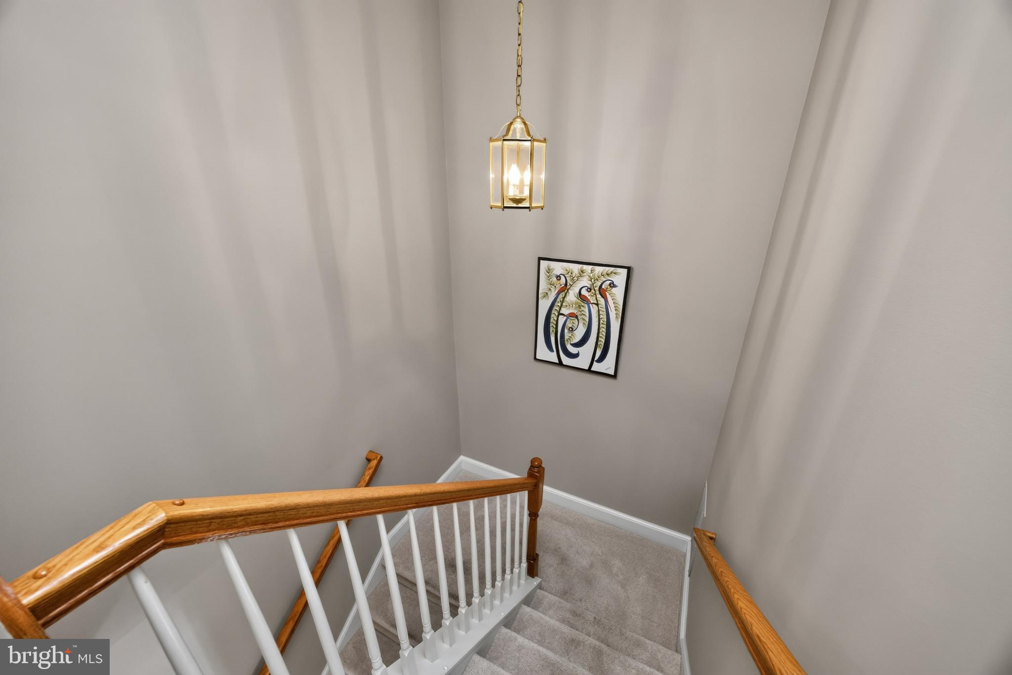 LONGFORD CROSSING - Residential