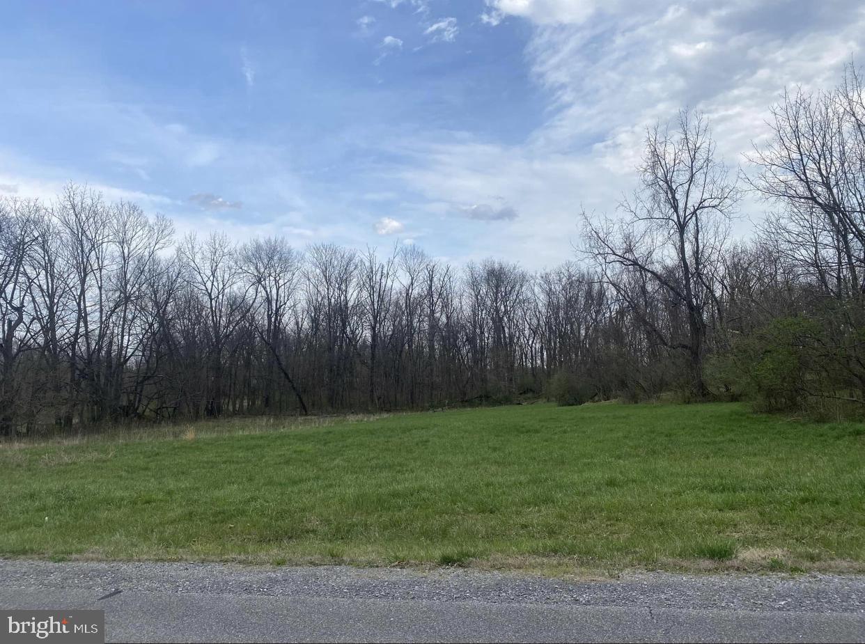 Crossings on the Potomac is a gated community and features large lots, paved roads, underground utilities. Over 5 acres to build your custom dream home. This community has deep river access with a boat launch, dock/slip, pier and marina.