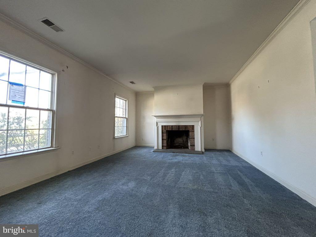 HICKORY RIDGE LA PLATA - Residential
