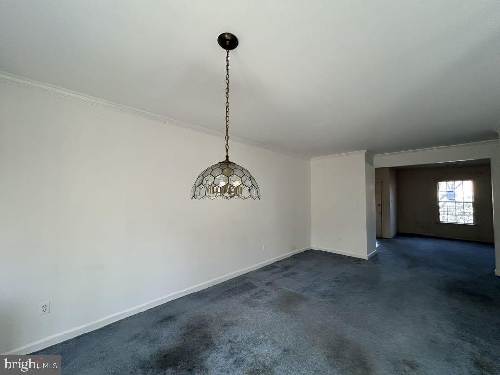 HICKORY RIDGE LA PLATA - Residential