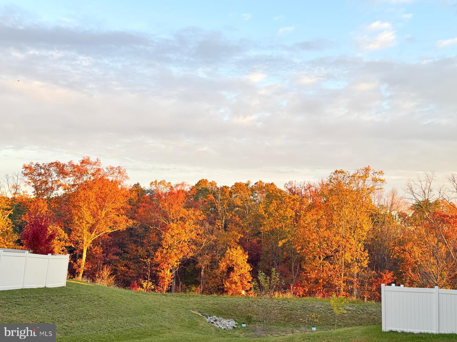 LAKE FREDERICK - Residential