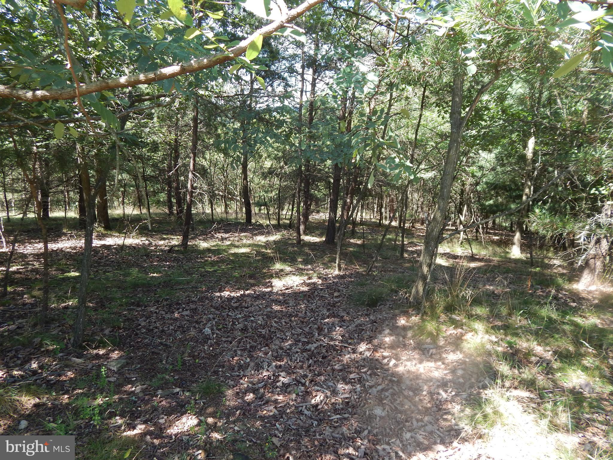 Situated just 10 miles south of Berkeley Springs, this 4.049 Acre parcel is situated in the award winning Cacapon South community.  Paved road frontage with a lot offering both level and sloped terrain.  Winter views but could have beautiful mountain views year round with some select cutting or topping of trees.  Less than a mile from Cacapon State Park, which offers 6,000 acres includes 20 miles of hiking trails, 18 hole golf course, Restaurant, picnic tables, pavillions, playground, tennis and volleyball courts, ball field,  lake for swimming and fishing, and horseback riding.  Recent renocations have added new indoor/outdoor dining, patio area, fire pit, indoor pool and a spa,