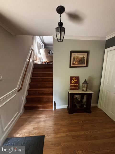 NESHAMINY WOODS - Residential