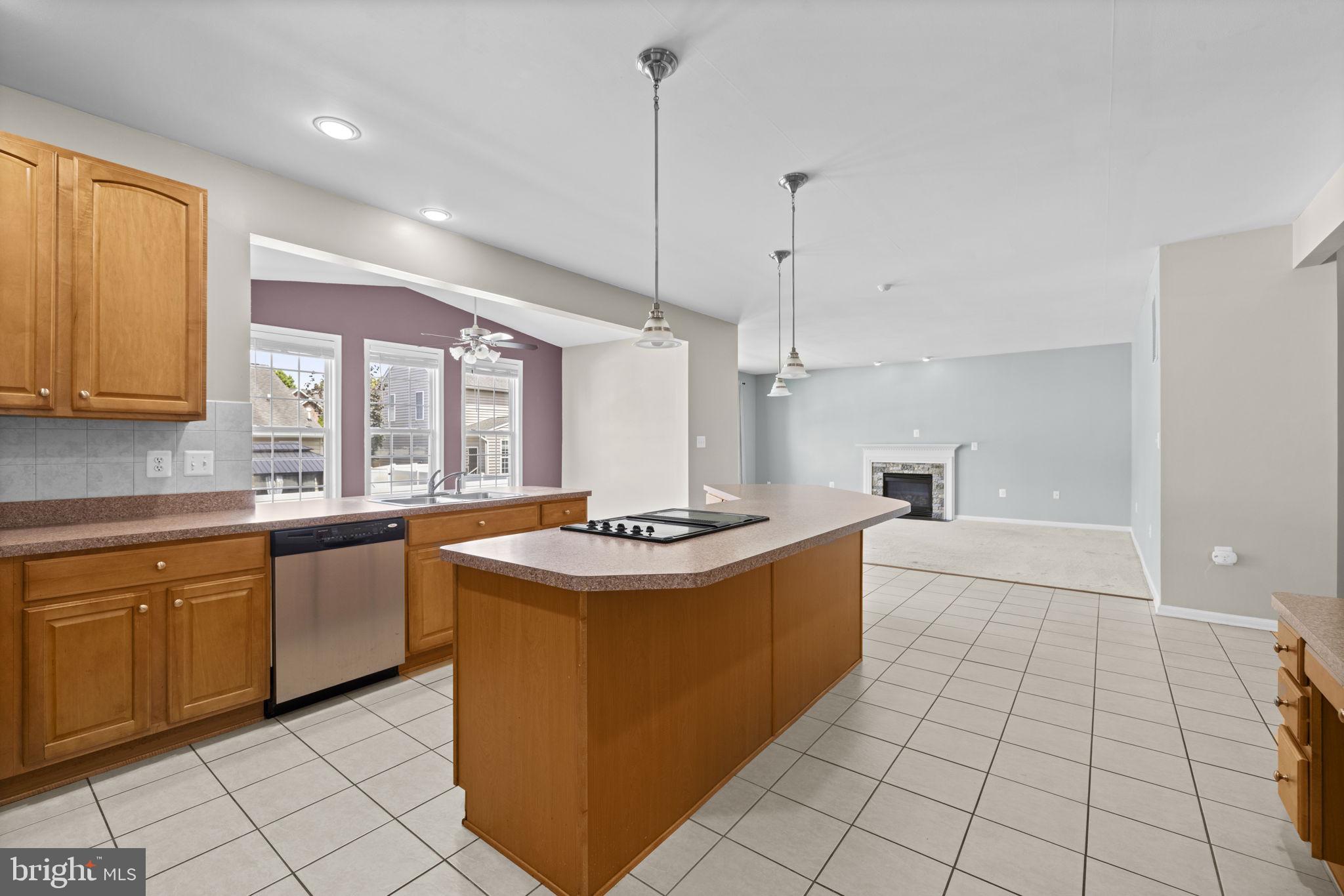 VILLAGE OF WASHINGTON TRAIL - Residential