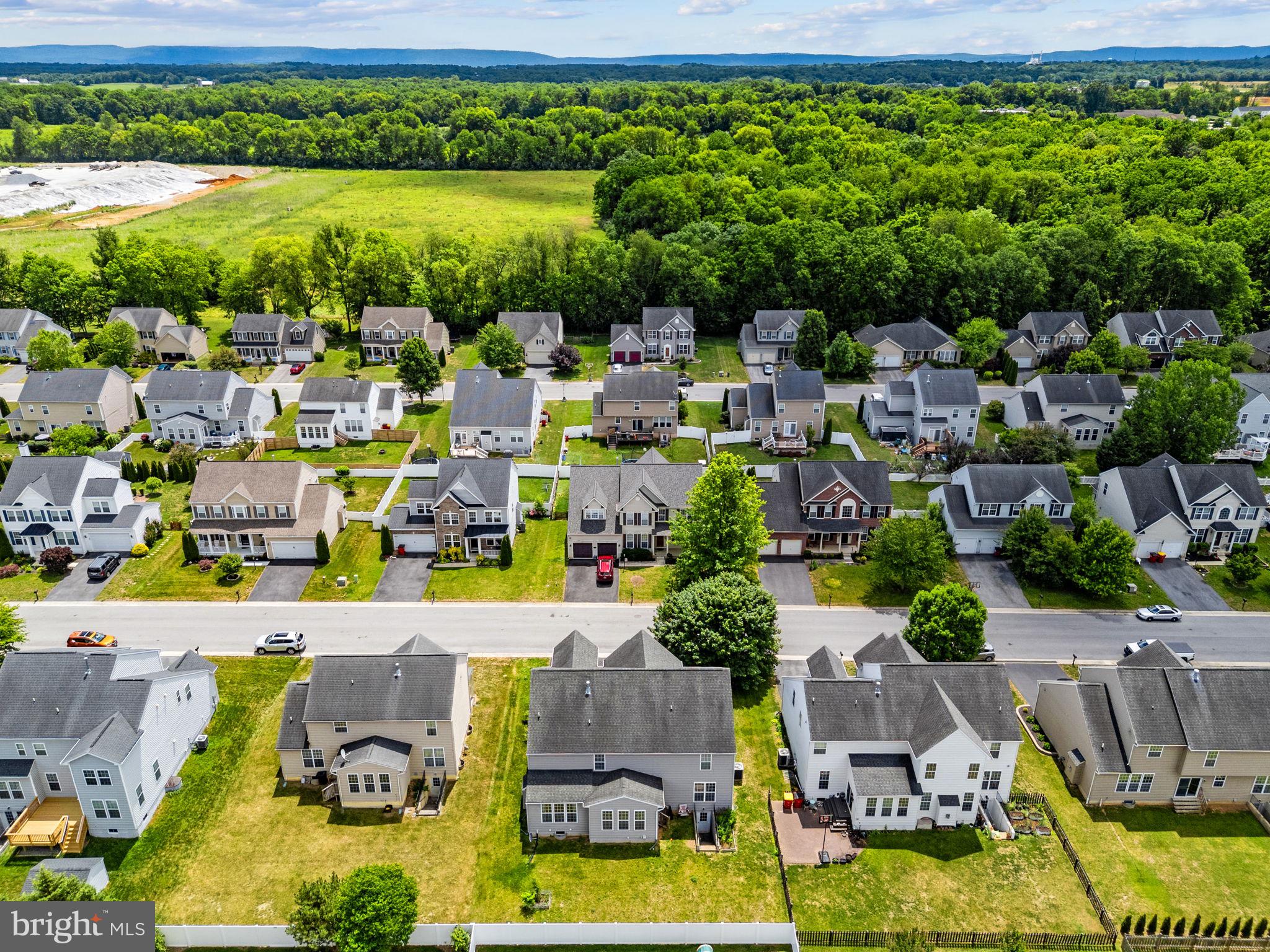 VILLAGE OF WASHINGTON TRAIL - Residential