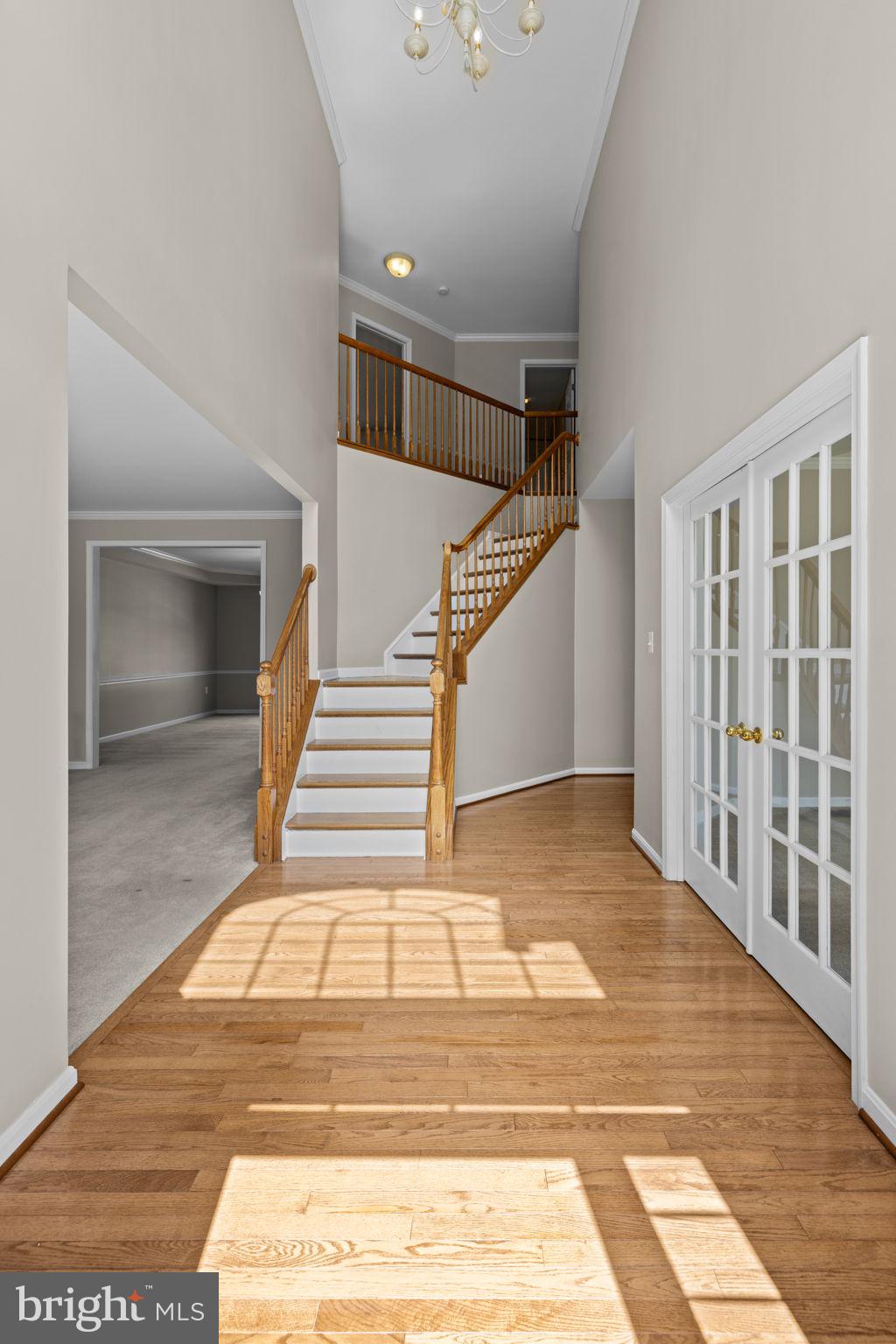 VILLAGE OF WASHINGTON TRAIL - Residential