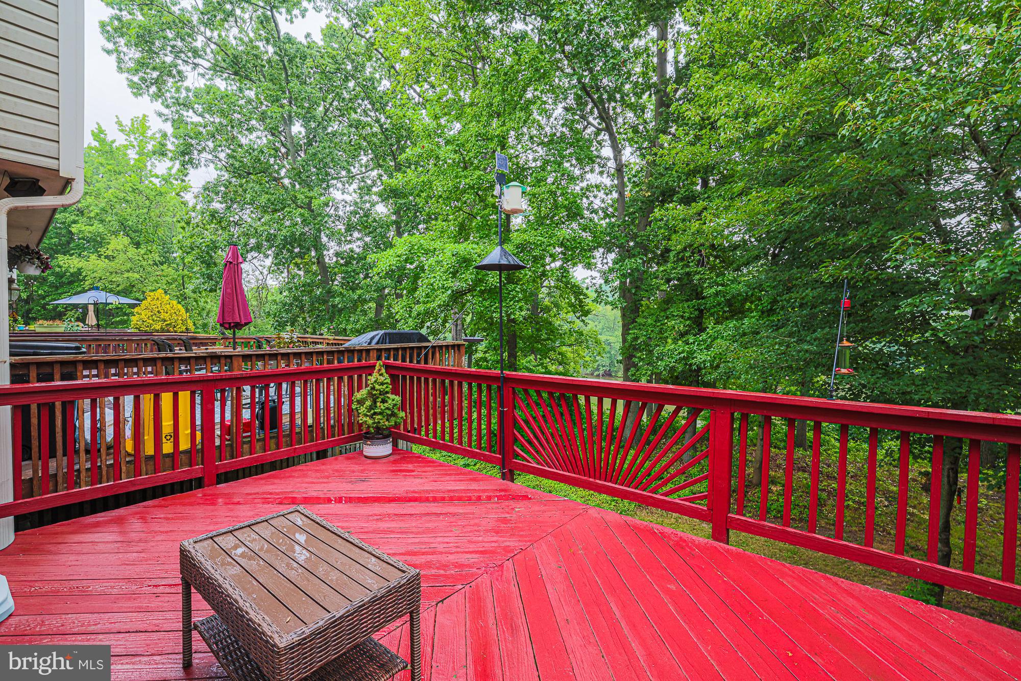 CHESTNUT HILL COVE - Residential