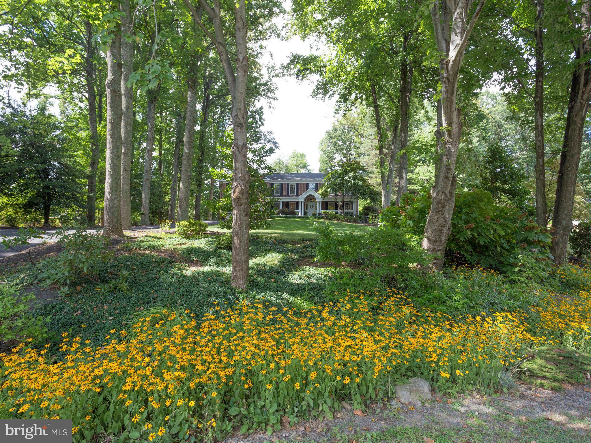 MARY RIDGE - Residential