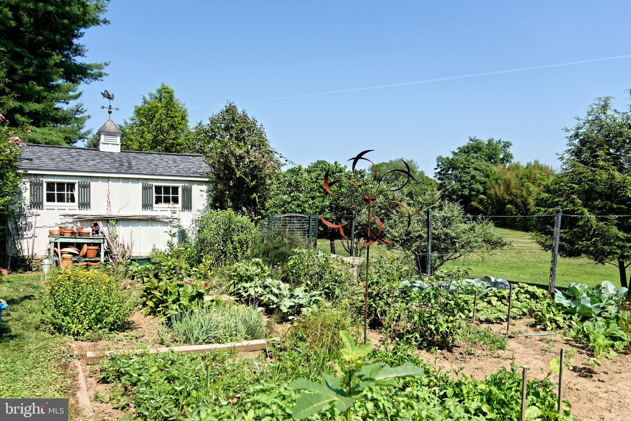 MIDDLEBURG - Residential