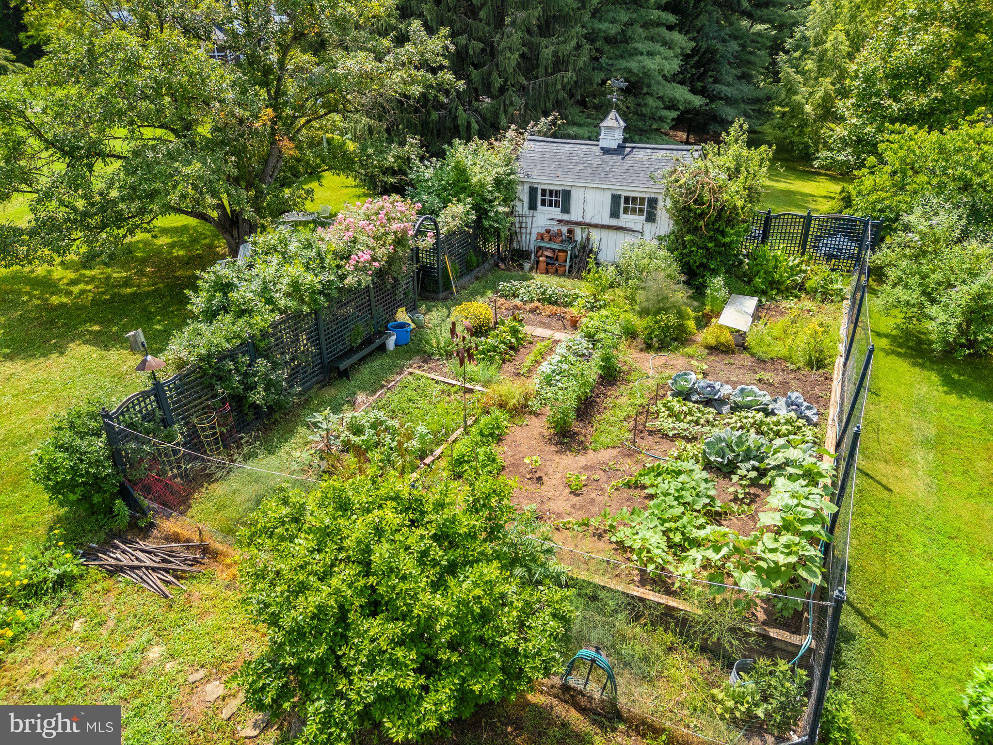 MIDDLEBURG - Residential
