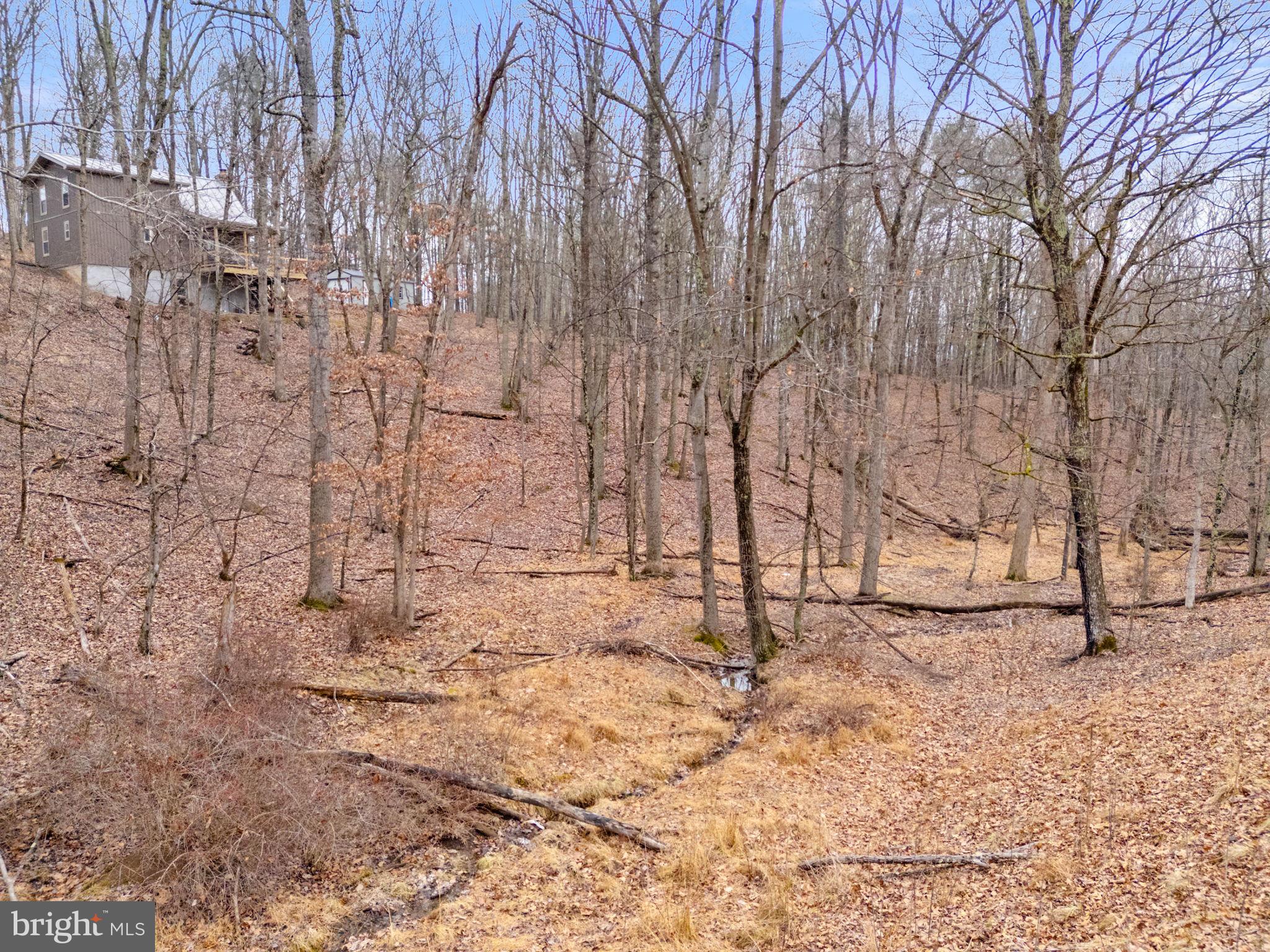 THE CROSSING AT GREAT CACAPON - Residential
