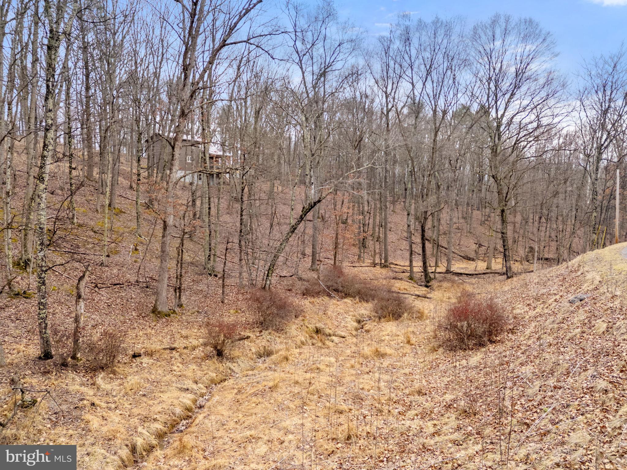 THE CROSSING AT GREAT CACAPON - Residential