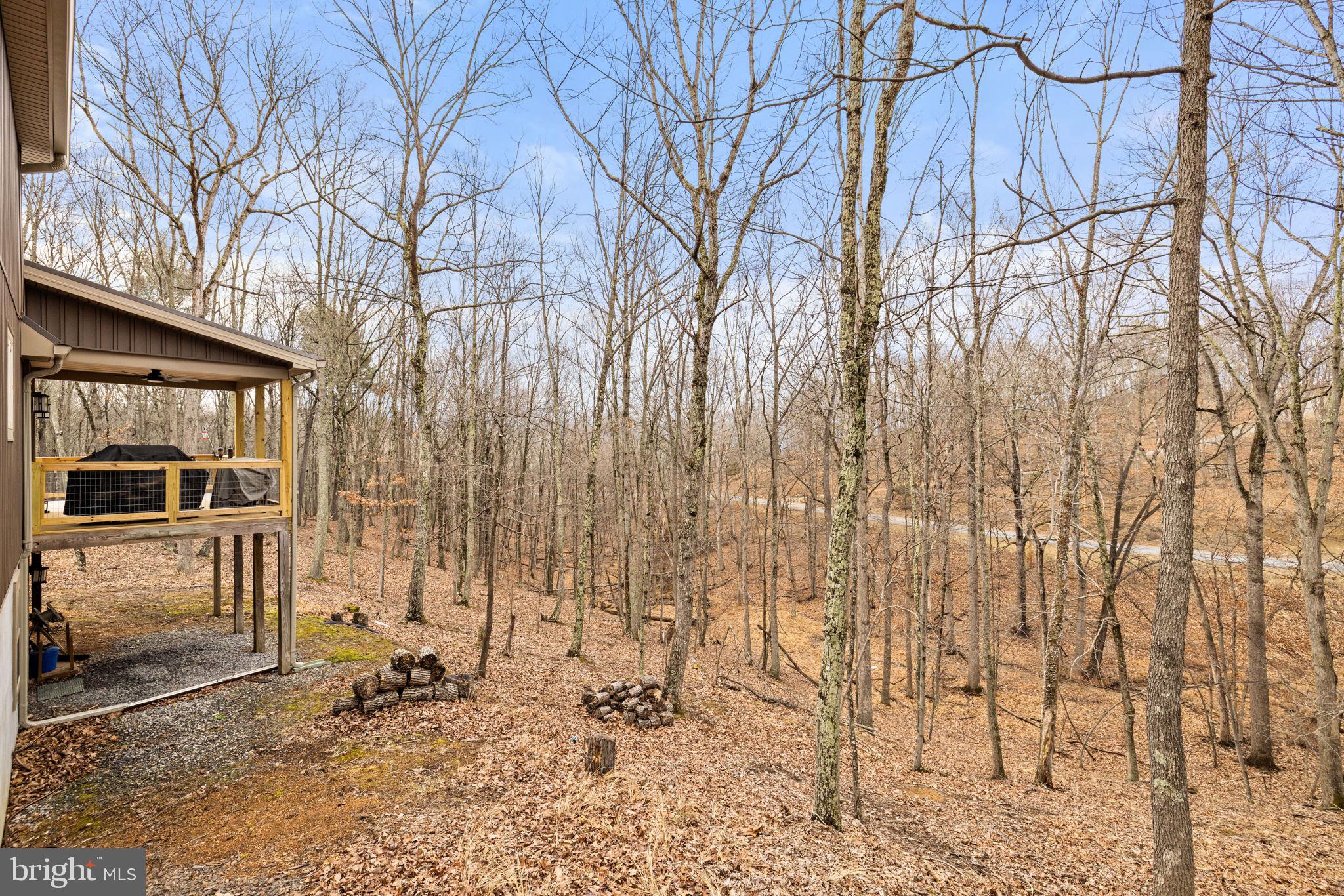 THE CROSSING AT GREAT CACAPON - Residential