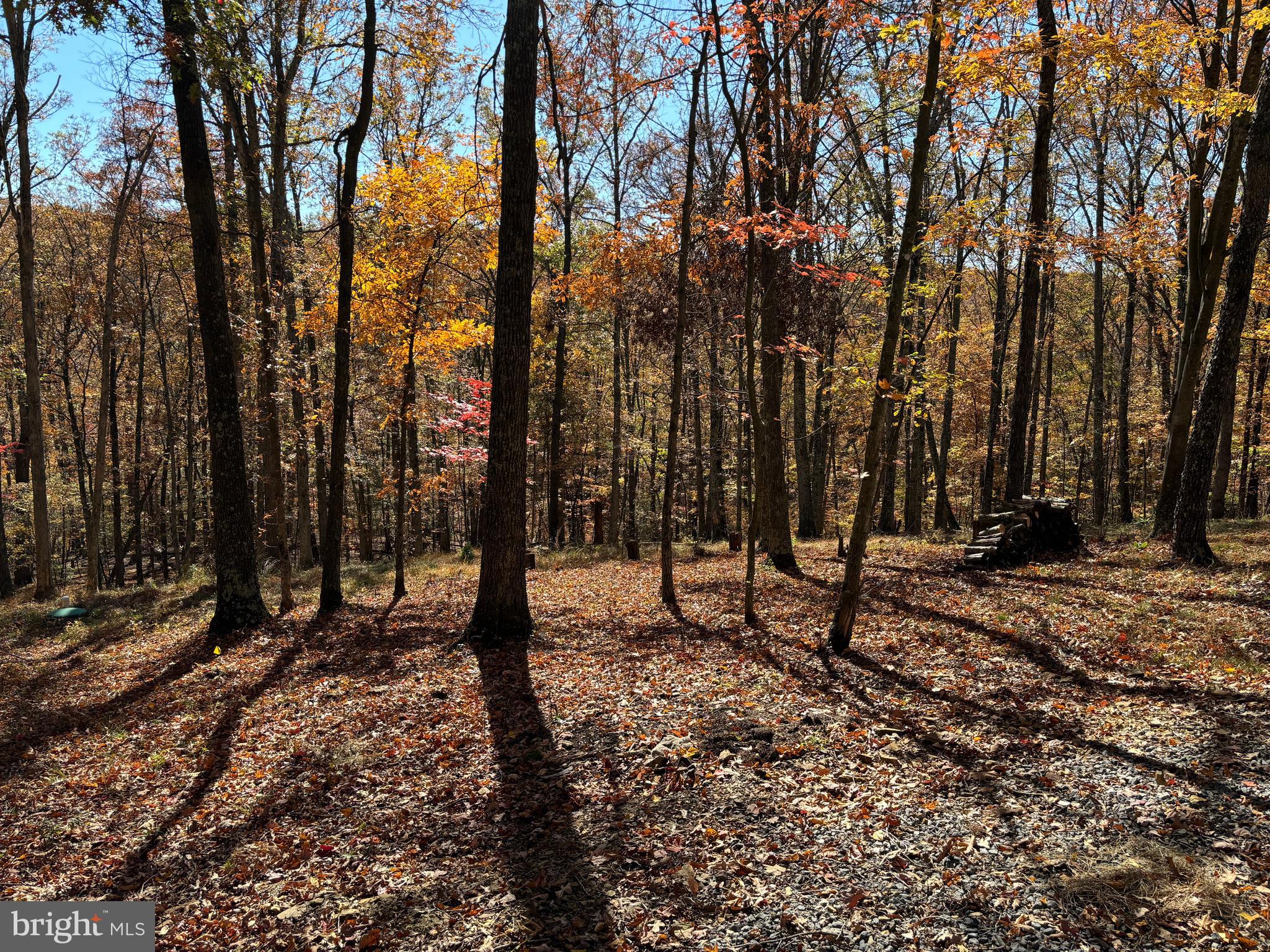DOGWOOD FLATS - Residential