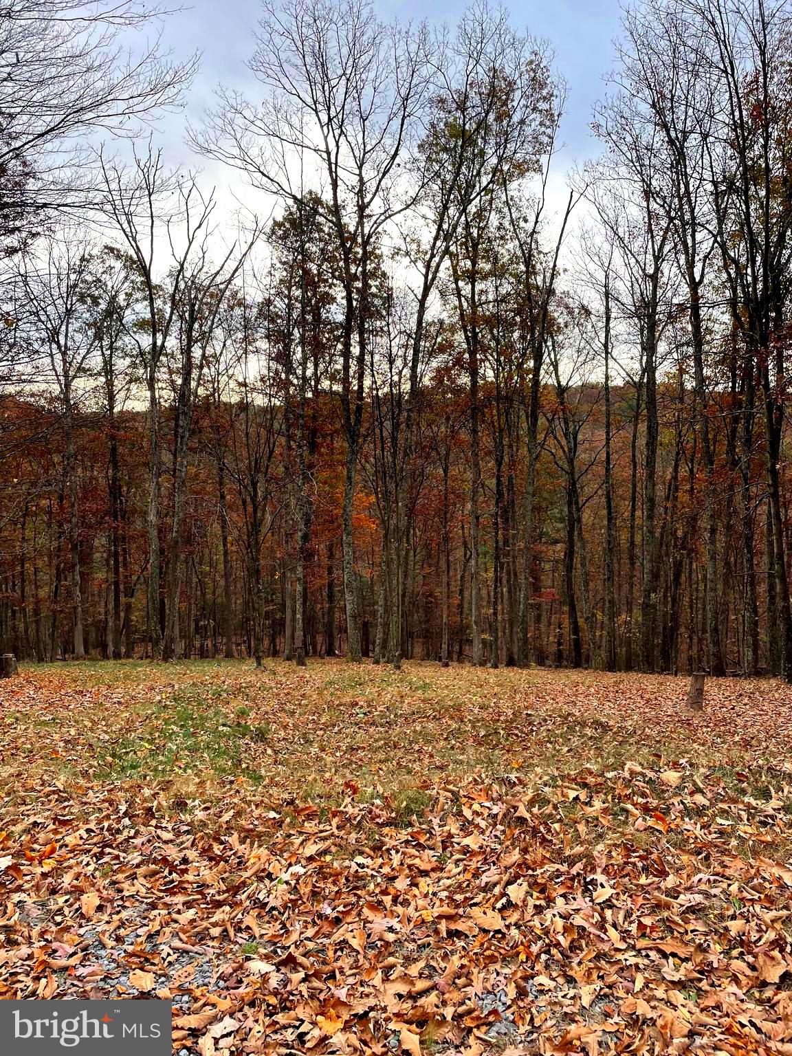 DOGWOOD FLATS - Residential