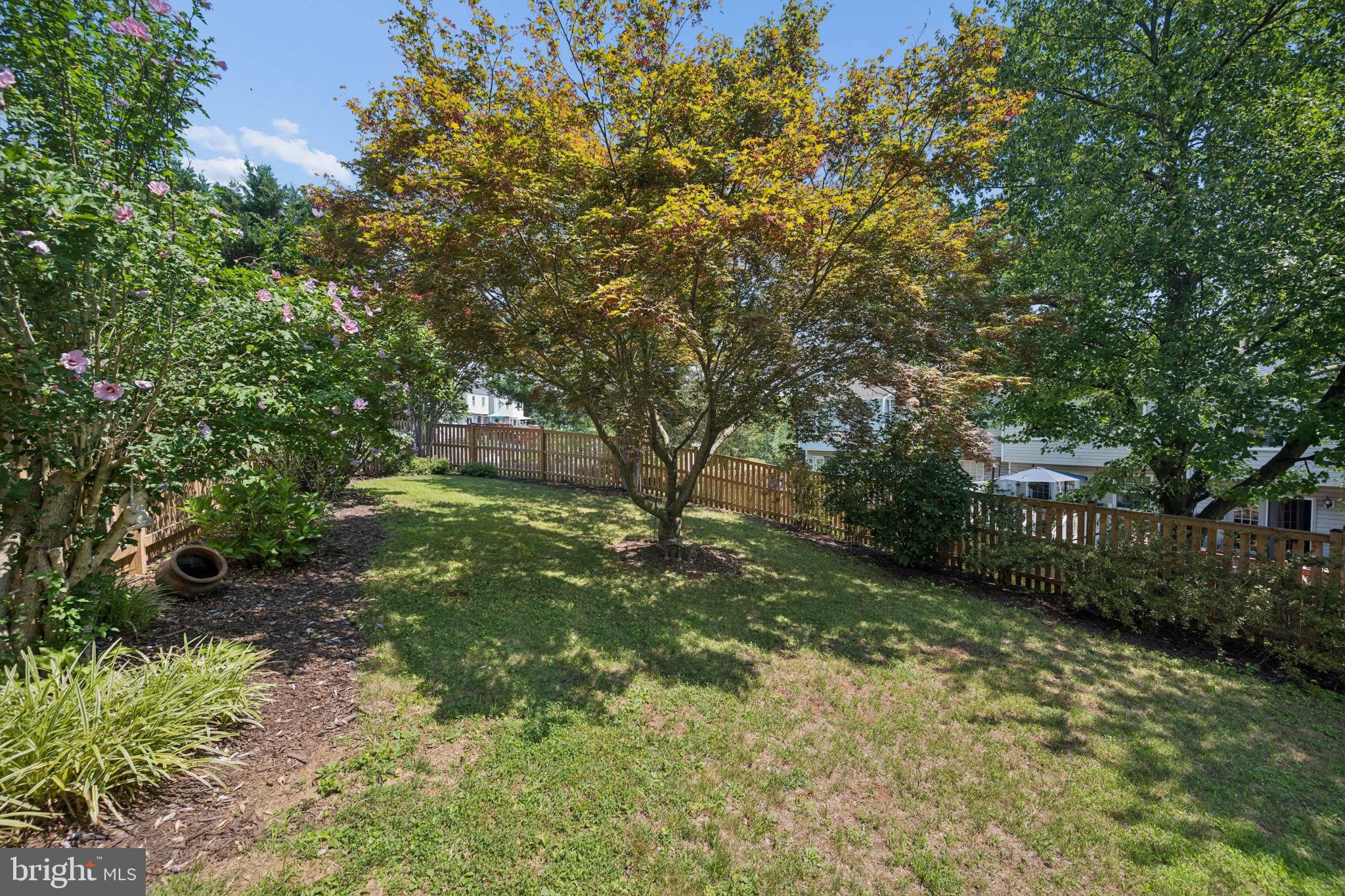 BALLENGER CREEK MEADOWS - Residential