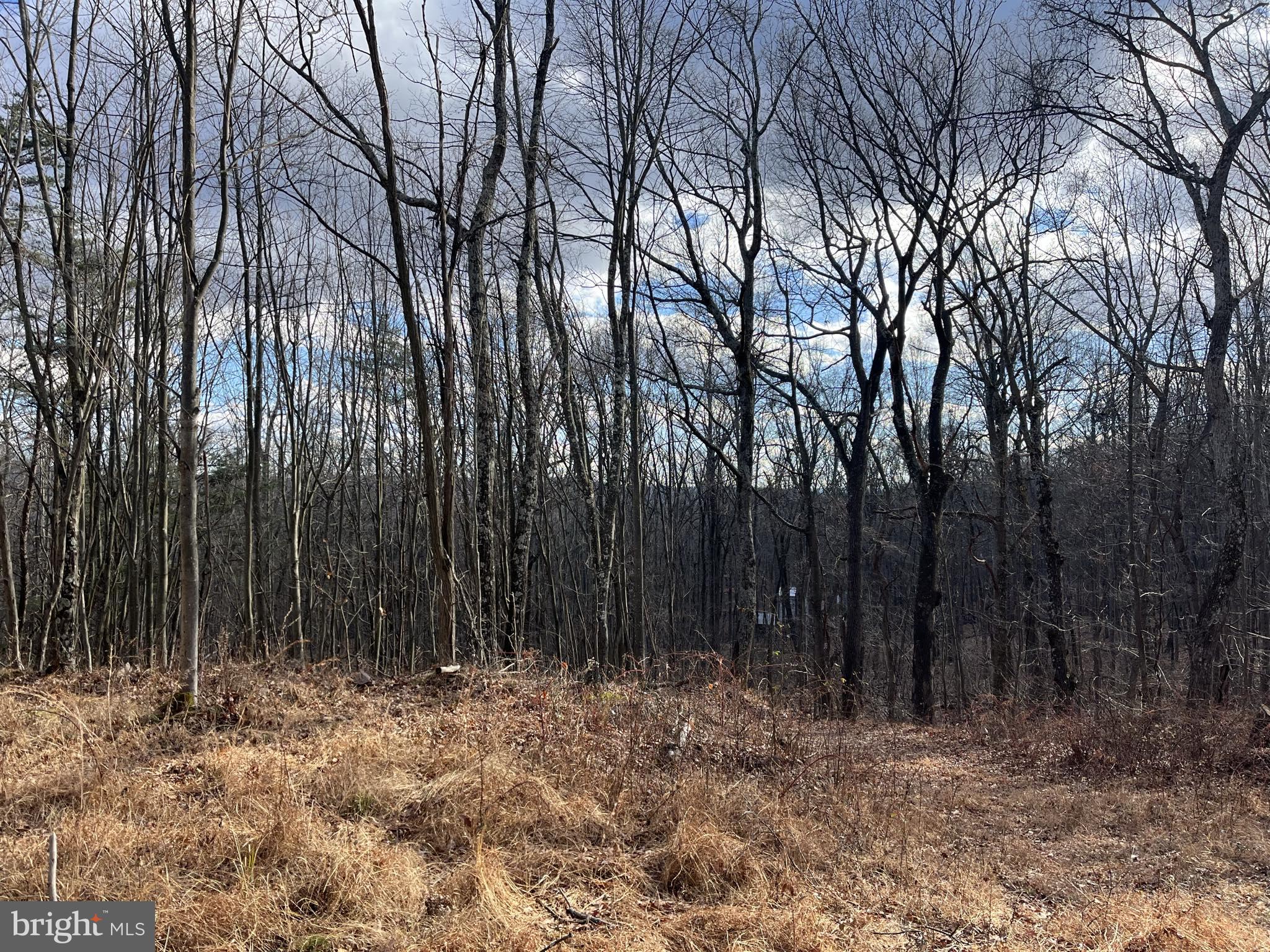FALCONWOOD - Land