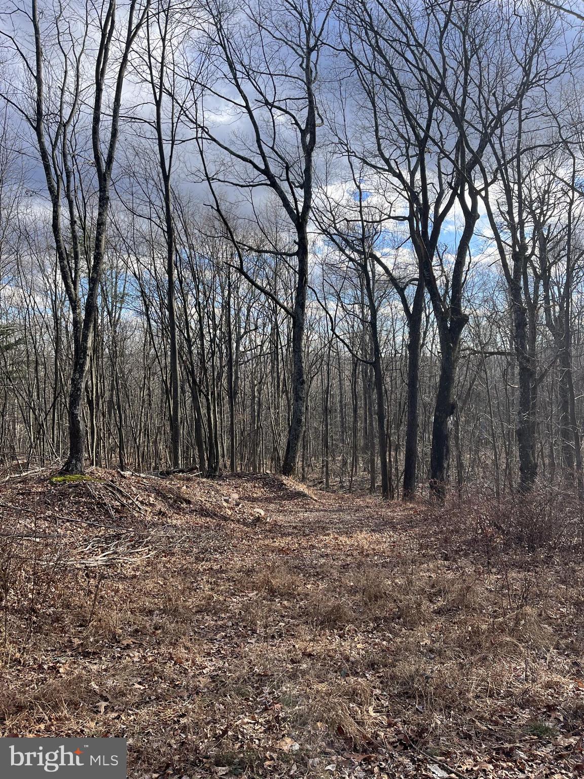 FALCONWOOD - Land