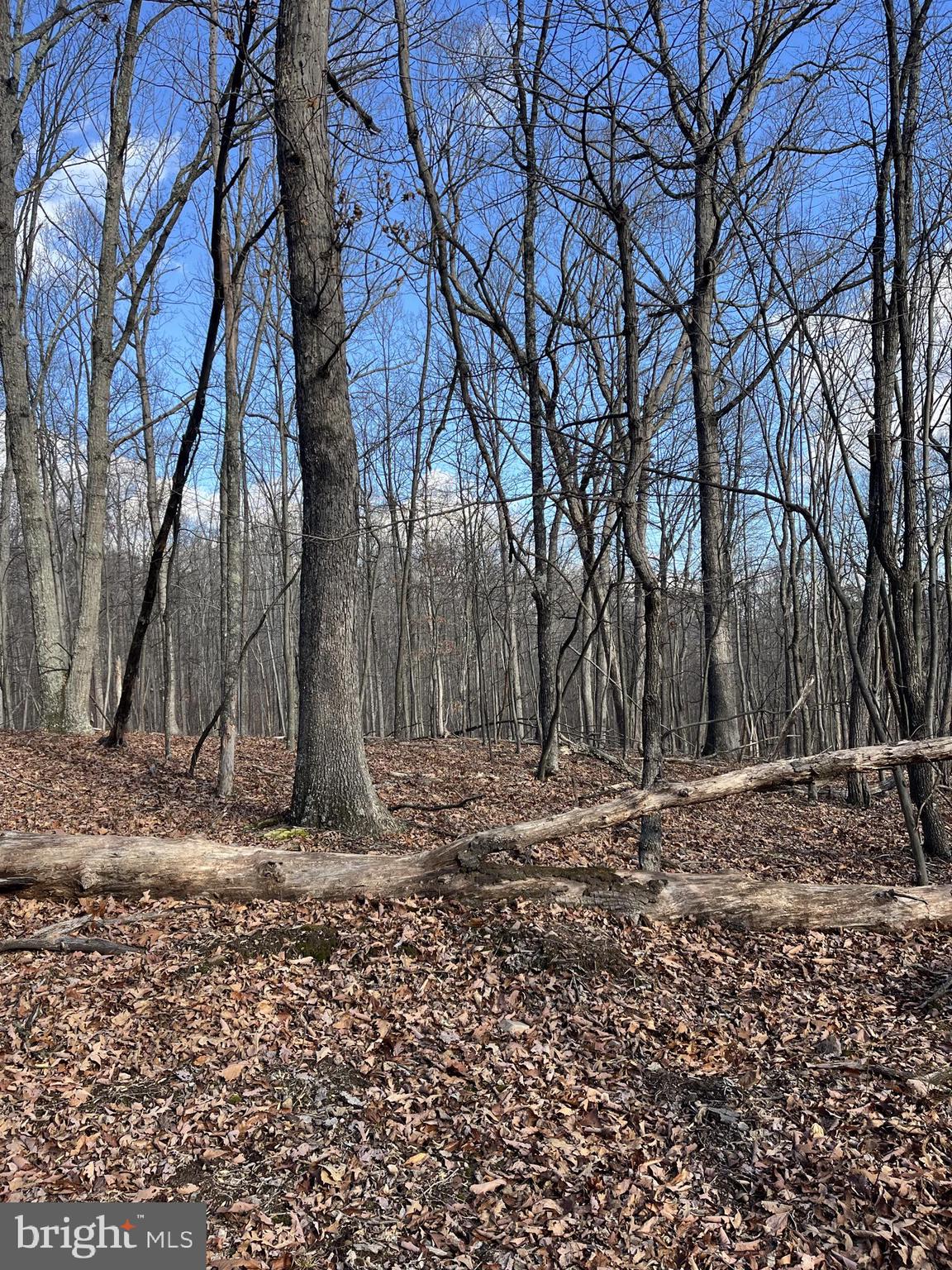FALCONWOOD - Land